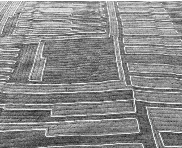 VSU 61.1 Vectors Shyrdak Rug