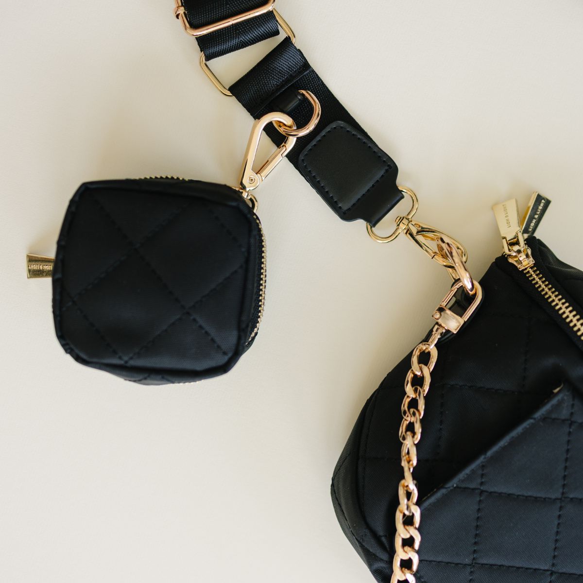 Take Anywhere Clip-On Pouch | Lion & Light