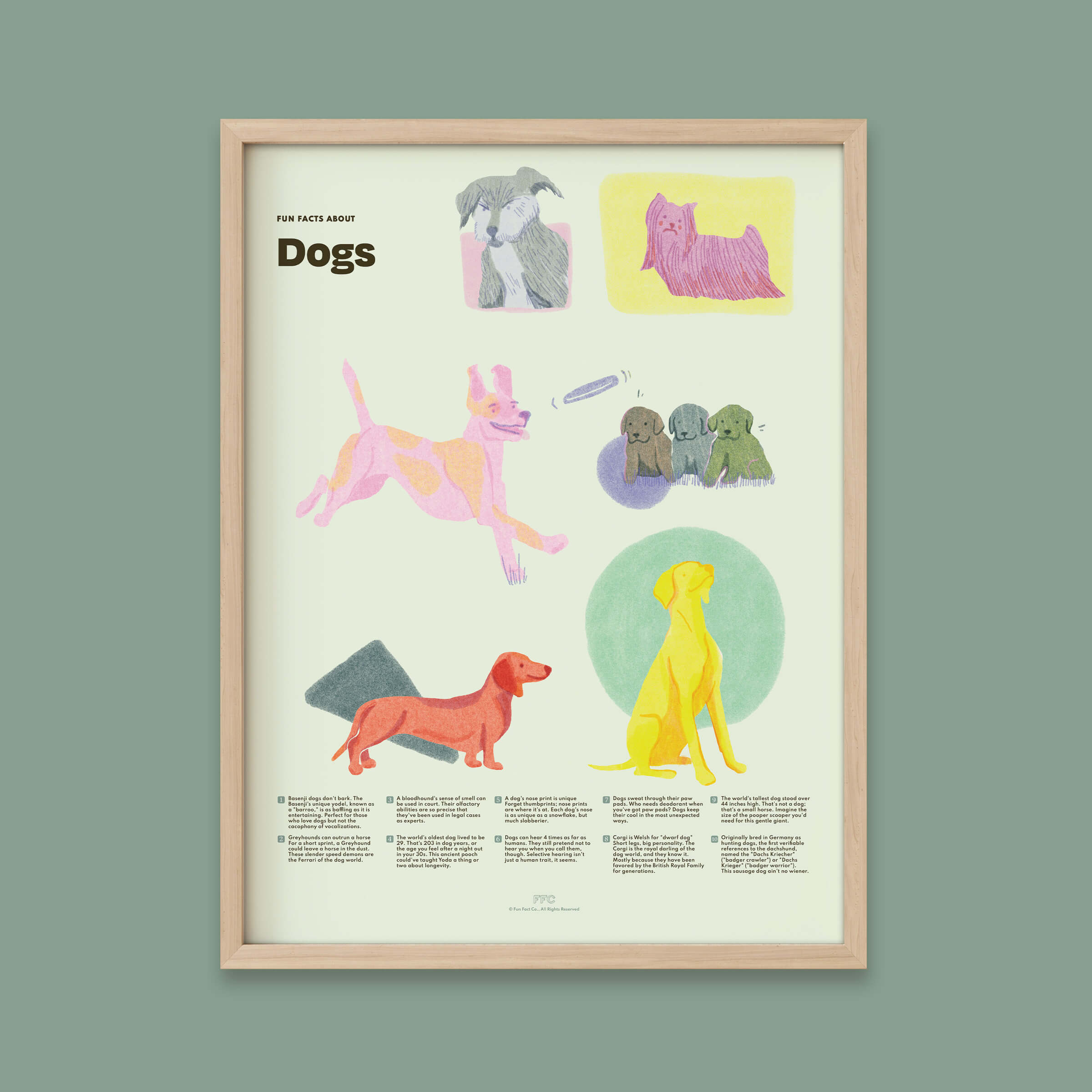 Dog Fun Facts Print