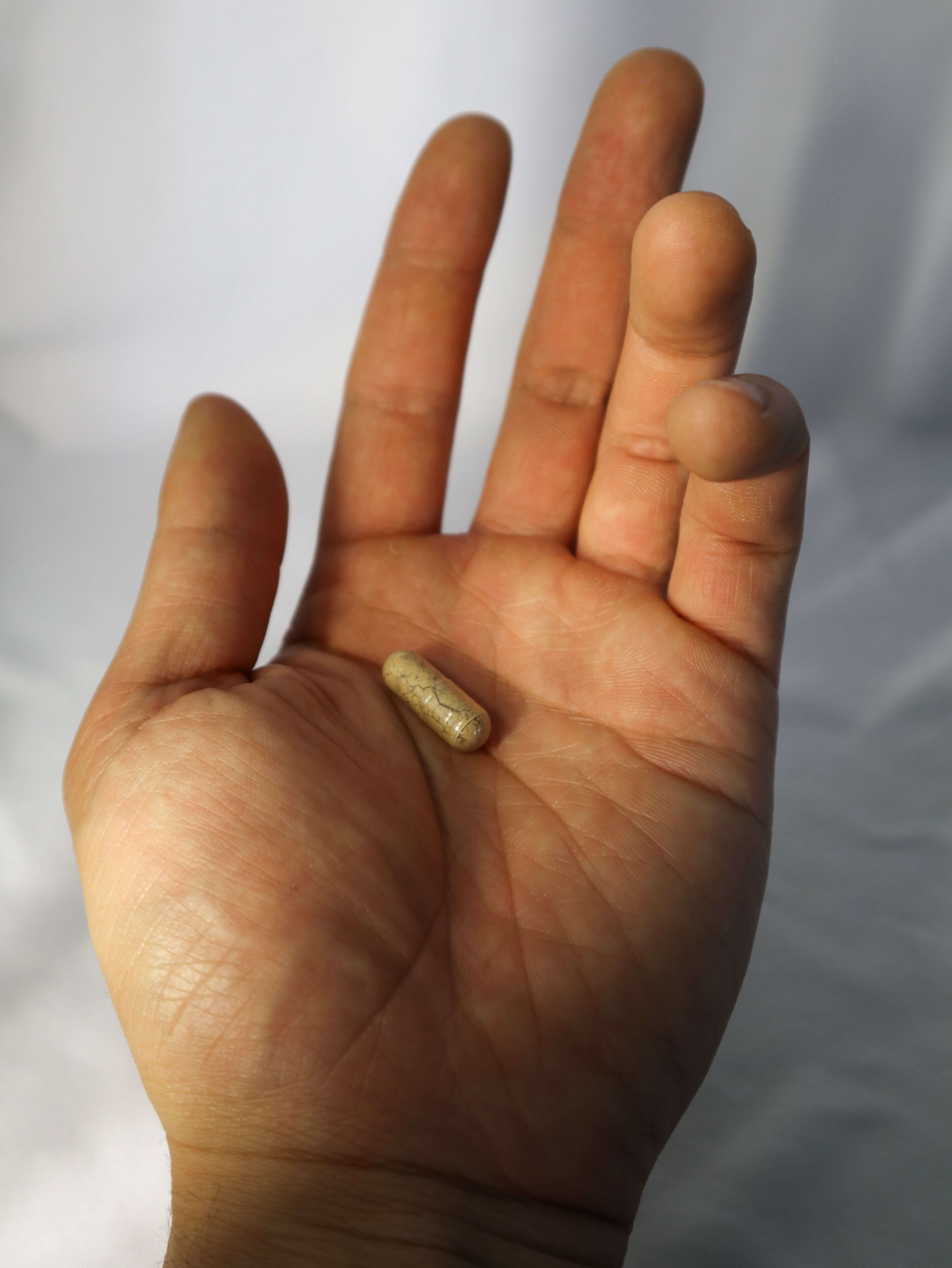 Sub-Critical Fruiting Body Lion's Mane Capsules