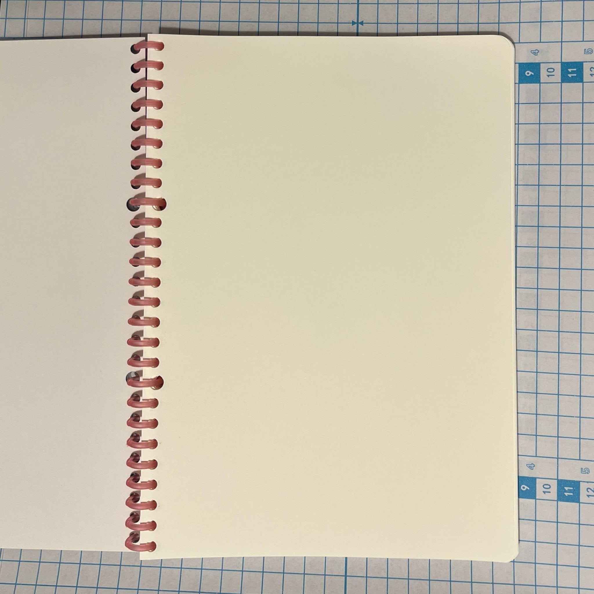 Funny Case Brief Notebooks