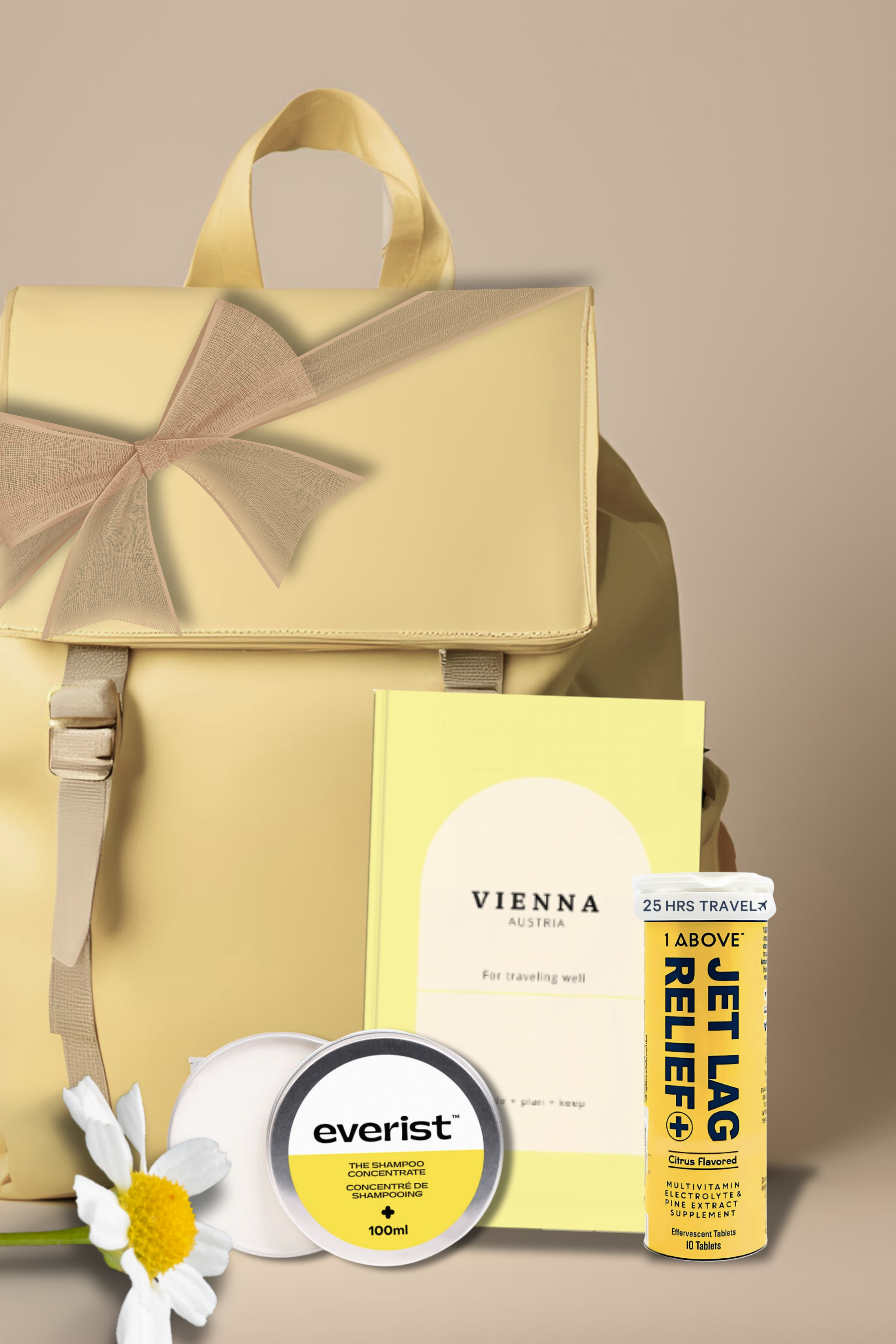 Vienna Travel Guide Book, an Elegant Trip Planner for Austria