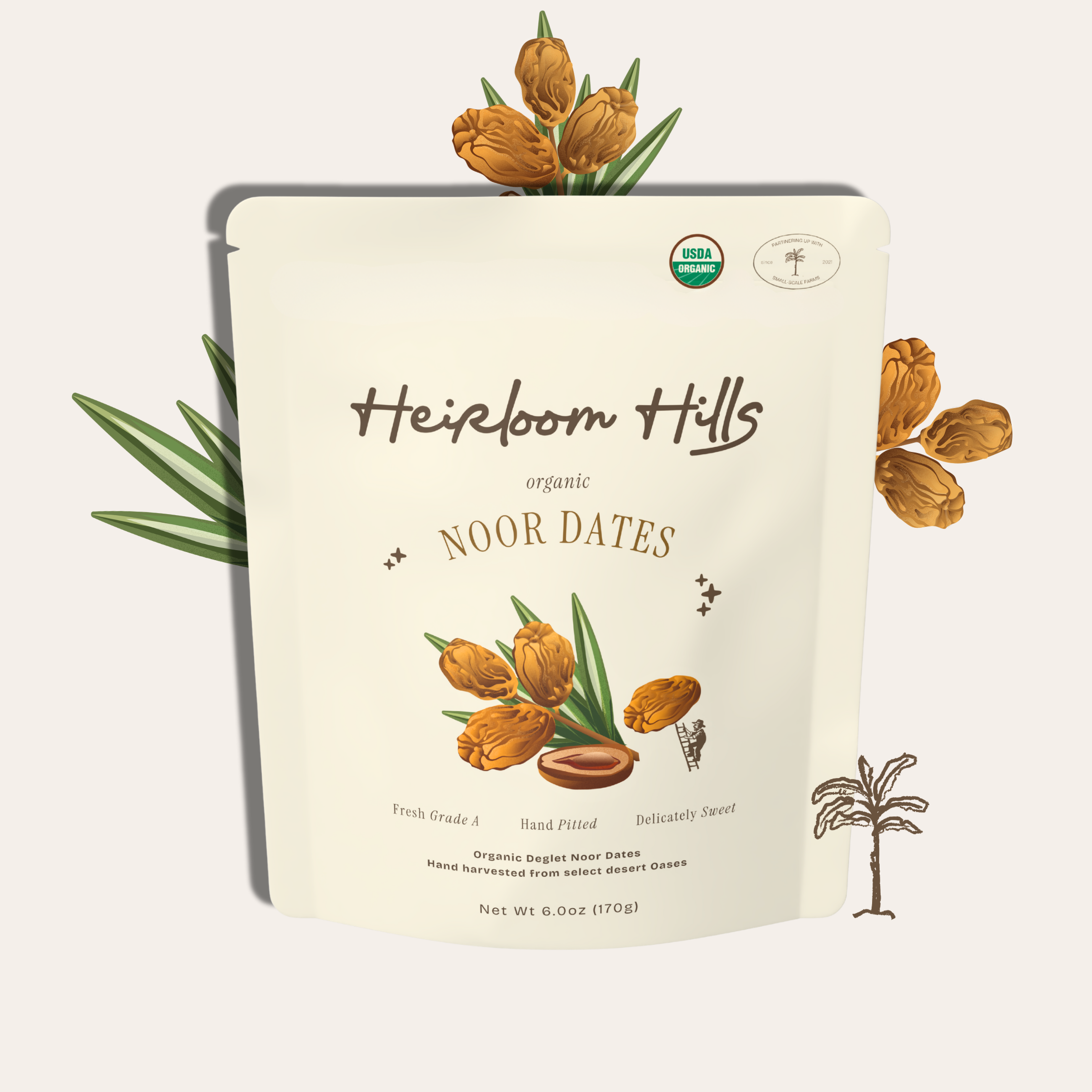 Organic Noor Dates