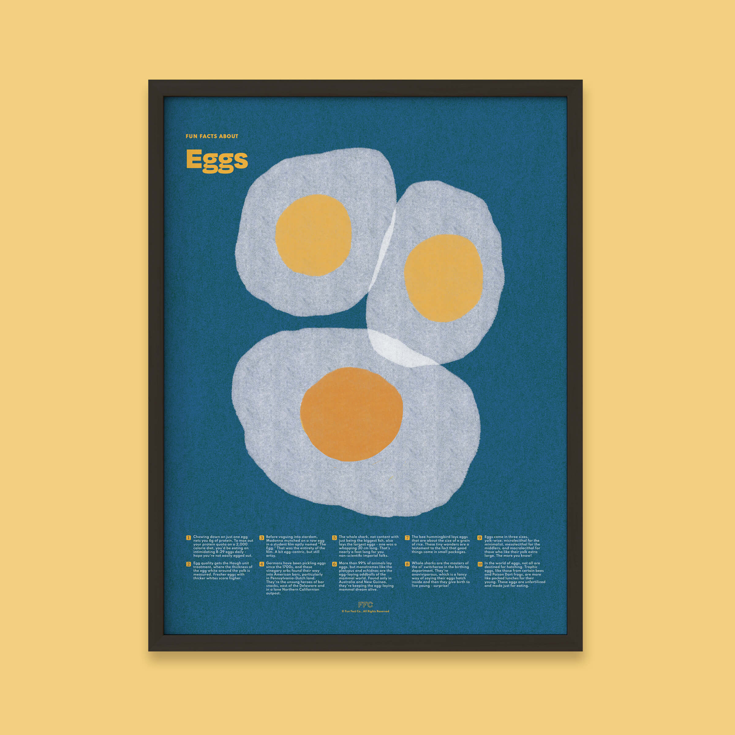 Egg Fun Facts Print