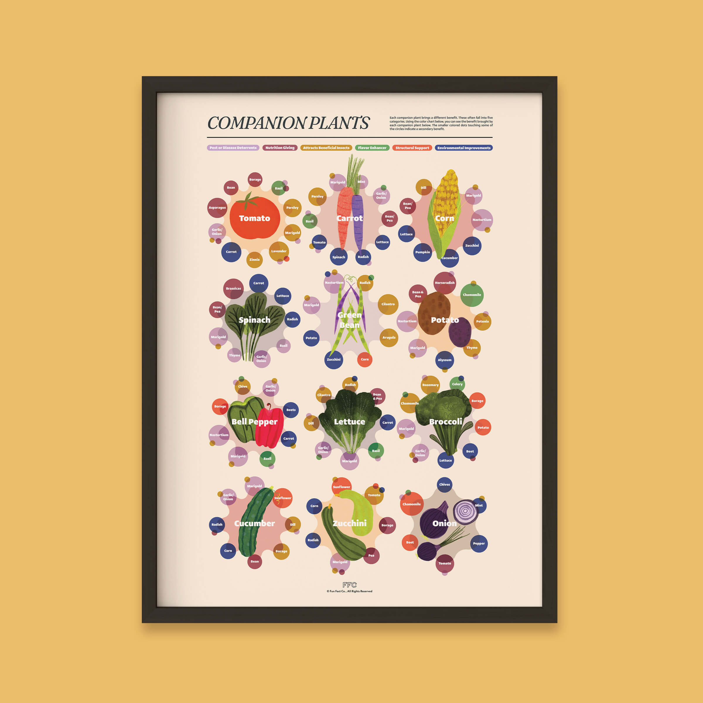 Companion Plants Print