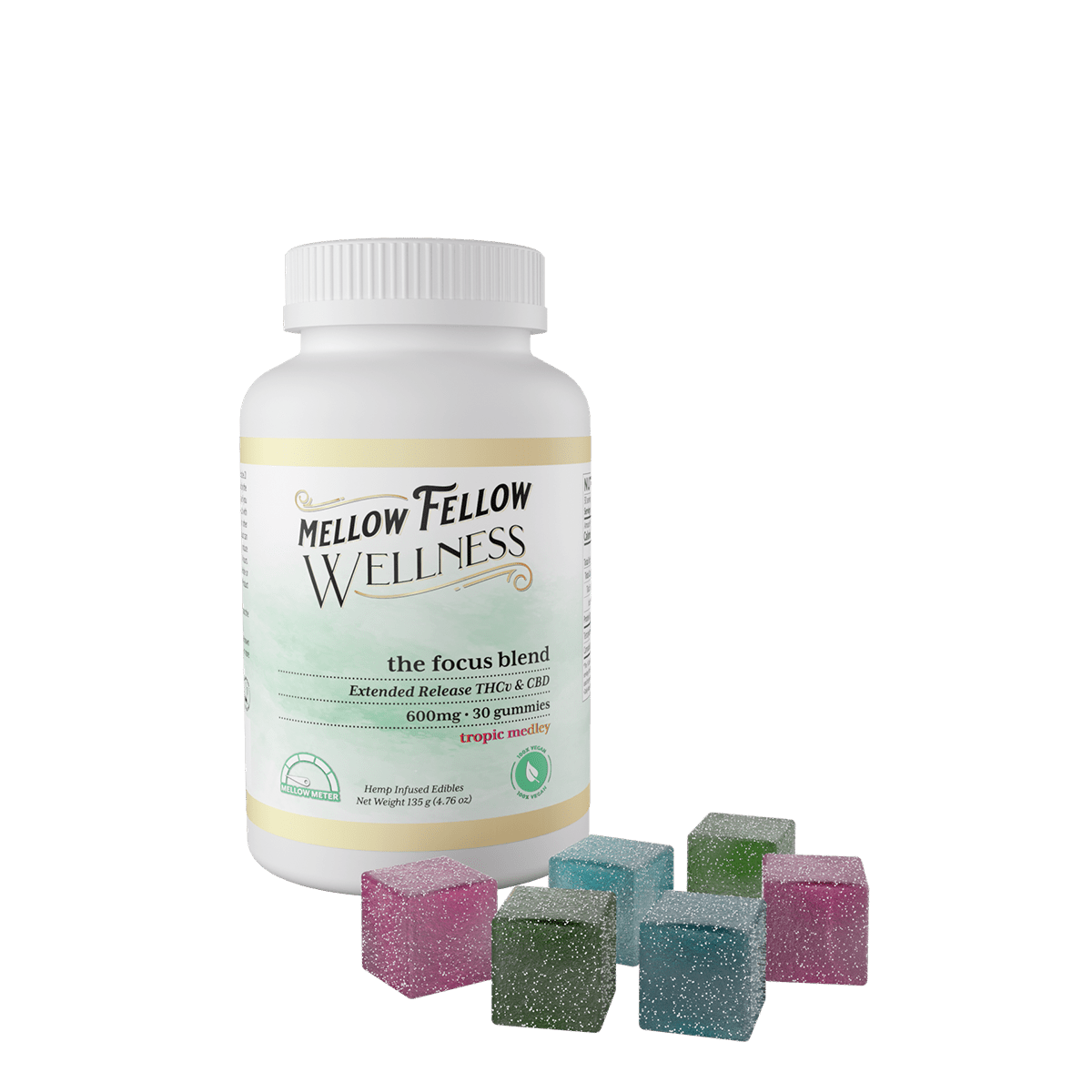 The Focus Blend - 600mg - Tropic Medley