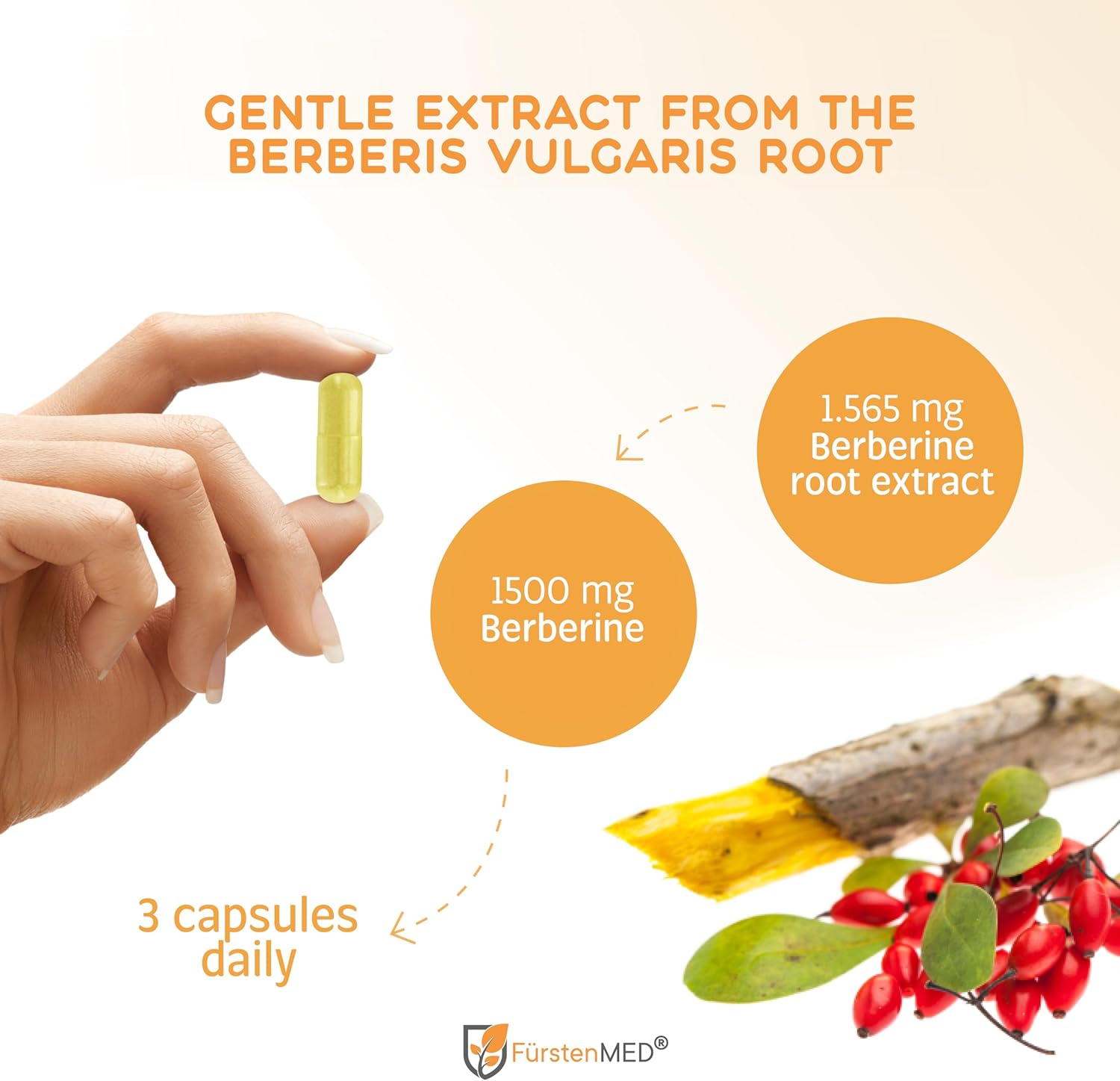 FürstenMED® Berberine Capsules