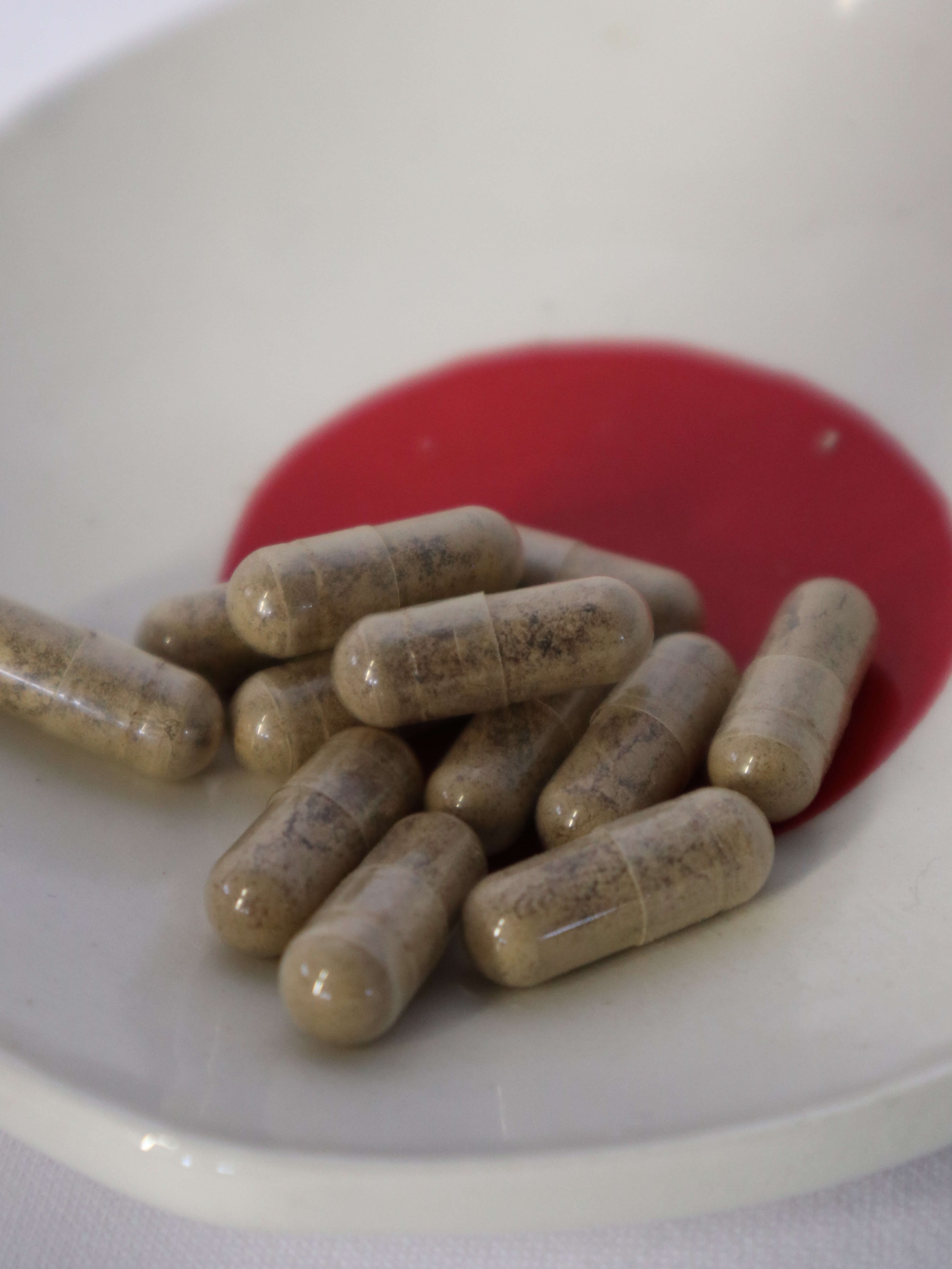 Sub-Critical Fruiting Body Lion's Mane Capsules