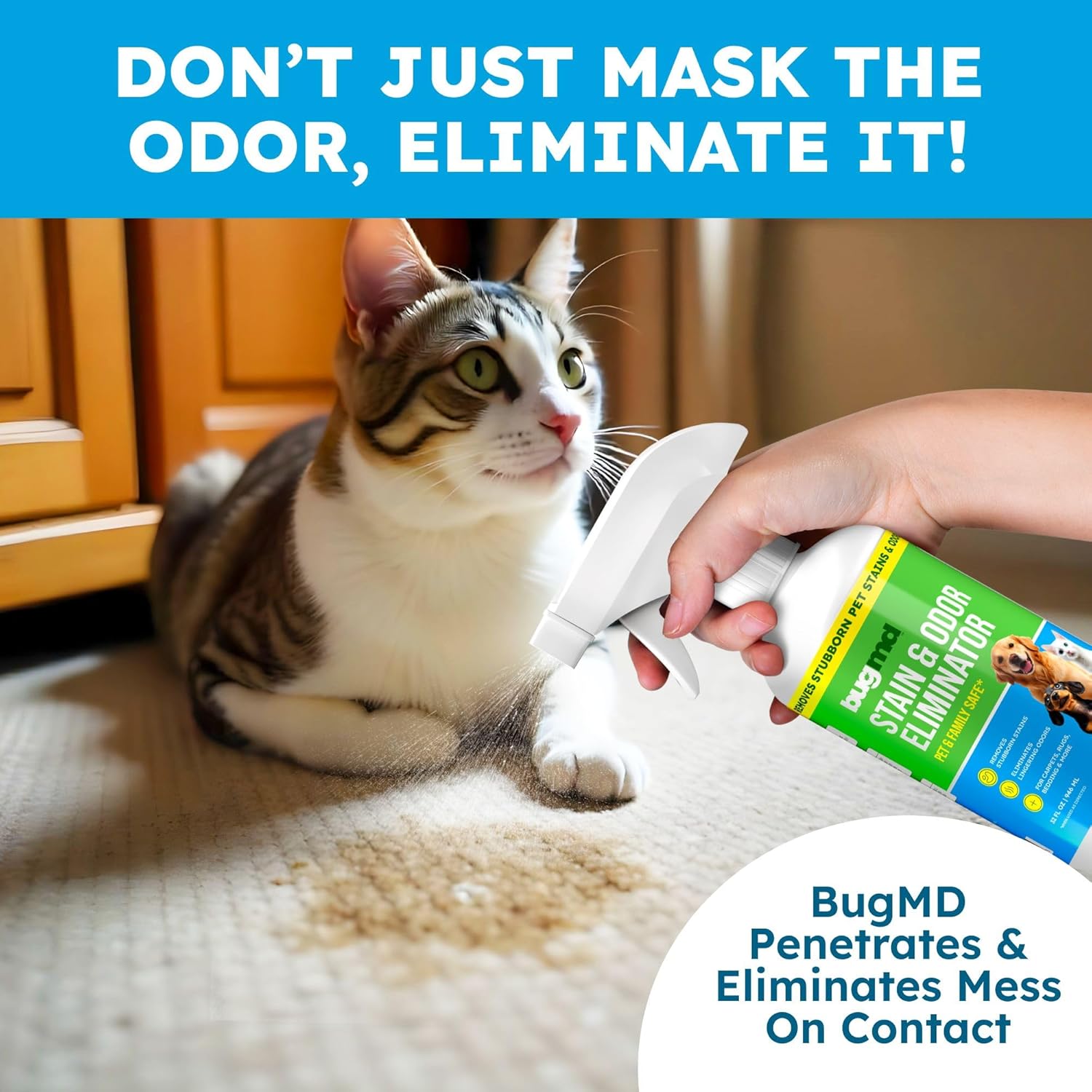 BugMD Enzyme Cleaner for Dog and Cat Urine, Pet Stain and Odor Remover for Carpet & Home