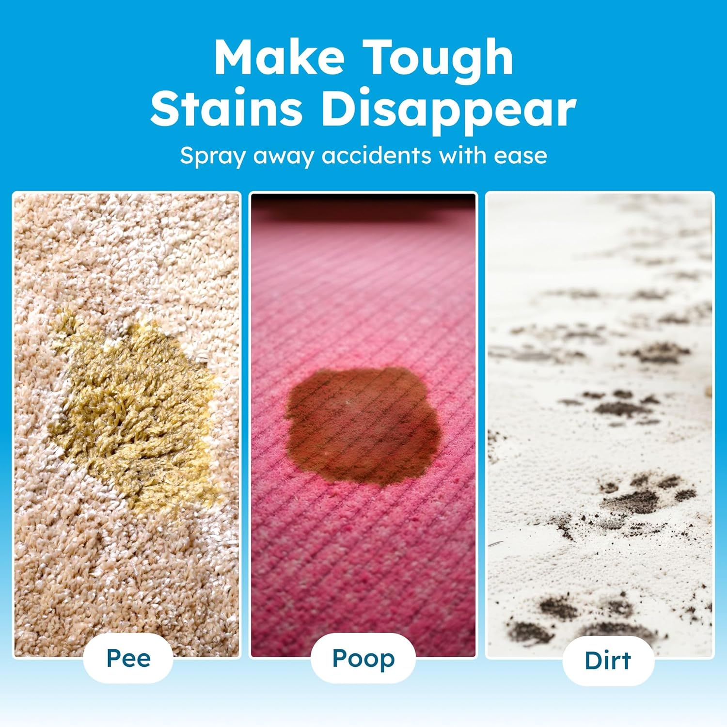 BugMD Enzyme Cleaner for Dog and Cat Urine, Pet Stain and Odor Remover for Carpet & Home