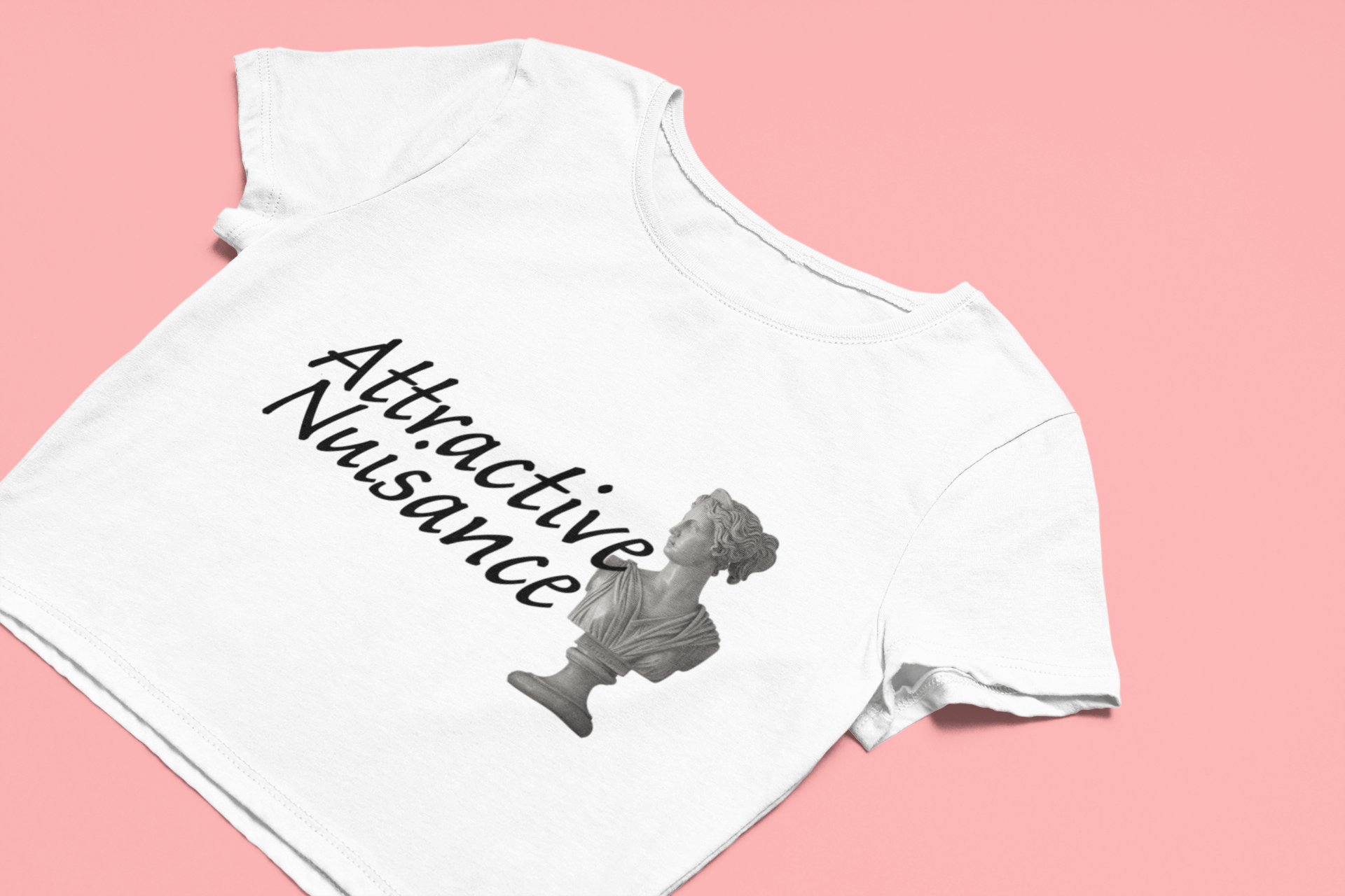 Attractive Nuisance Micro Rib Tee