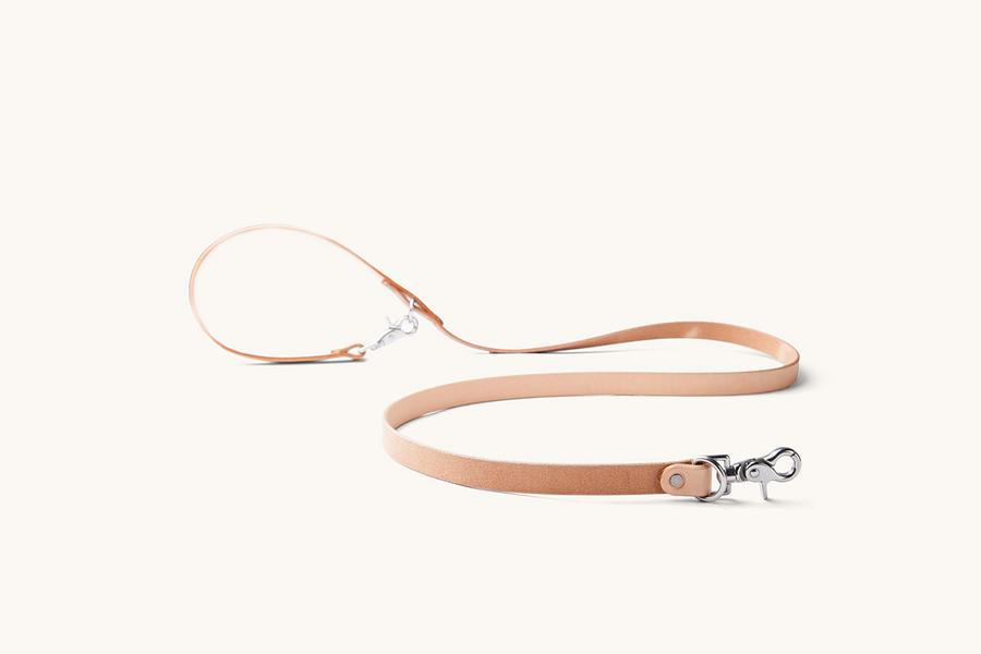 Canine Lead