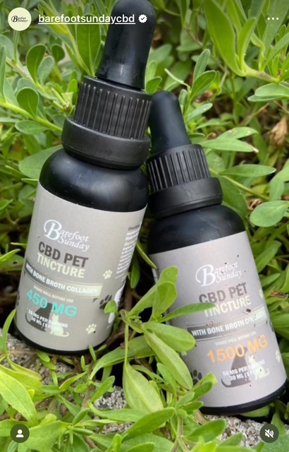 CBD Pet Tincture