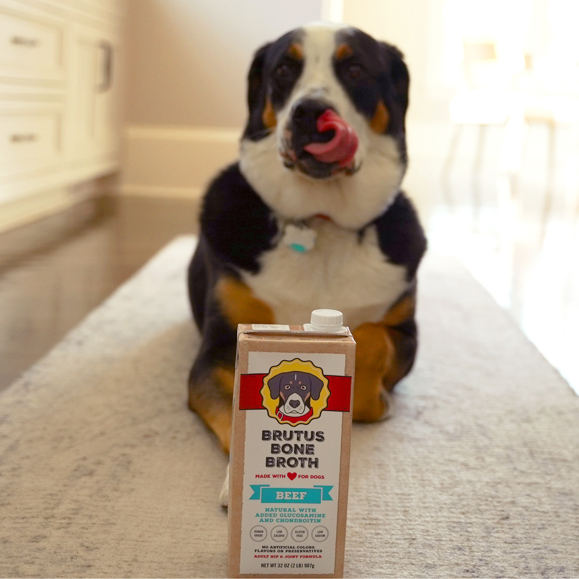 Brutus Beef Bone Broth