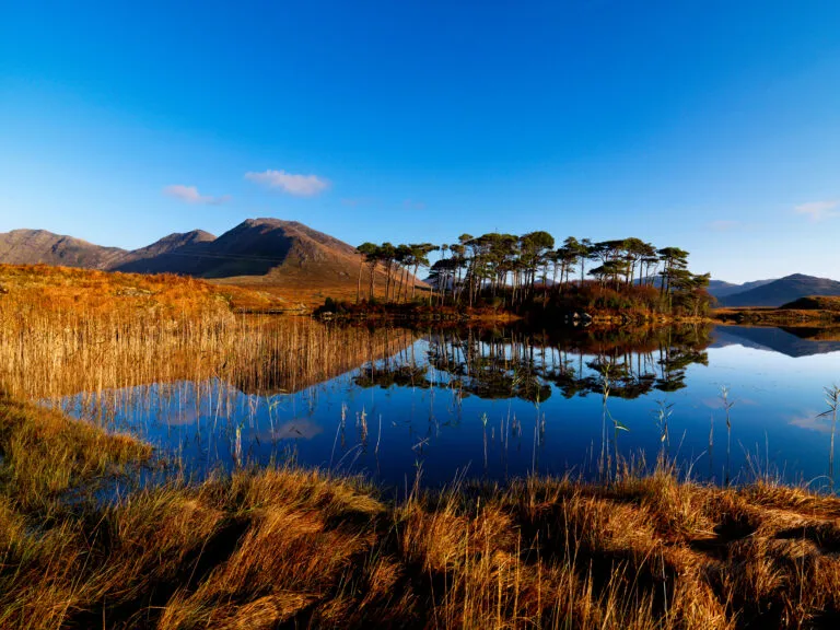 A taste of the Wild Atlantic Way
