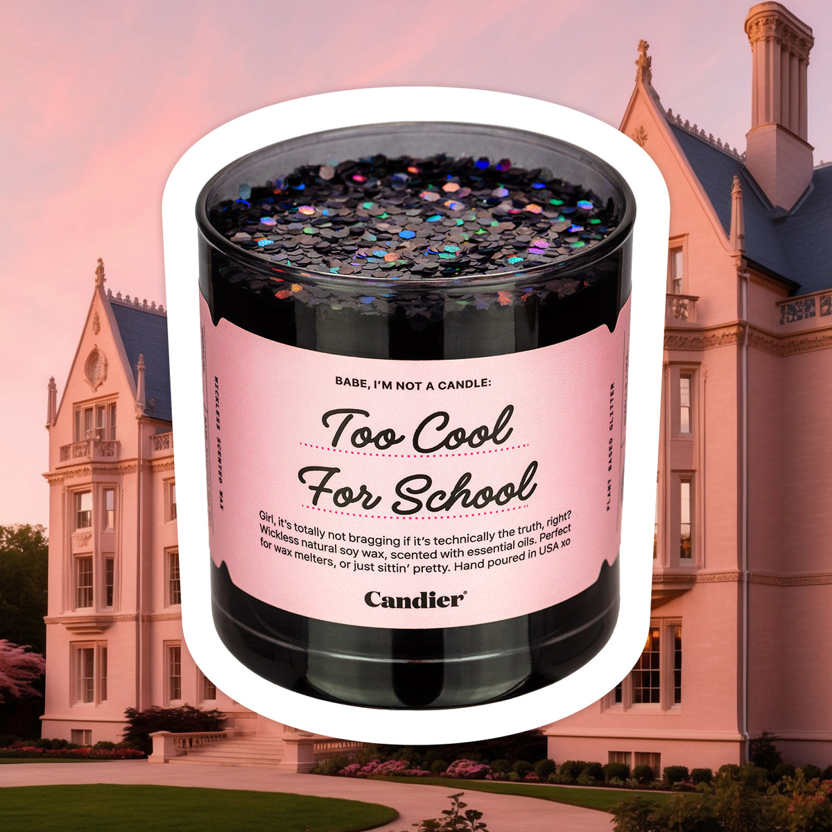 TOO COOL FOR SCHOOL WICKLESS MELT