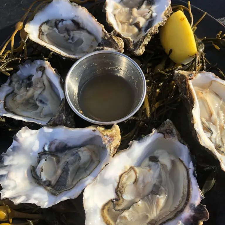 A taste of the Wild Atlantic Way