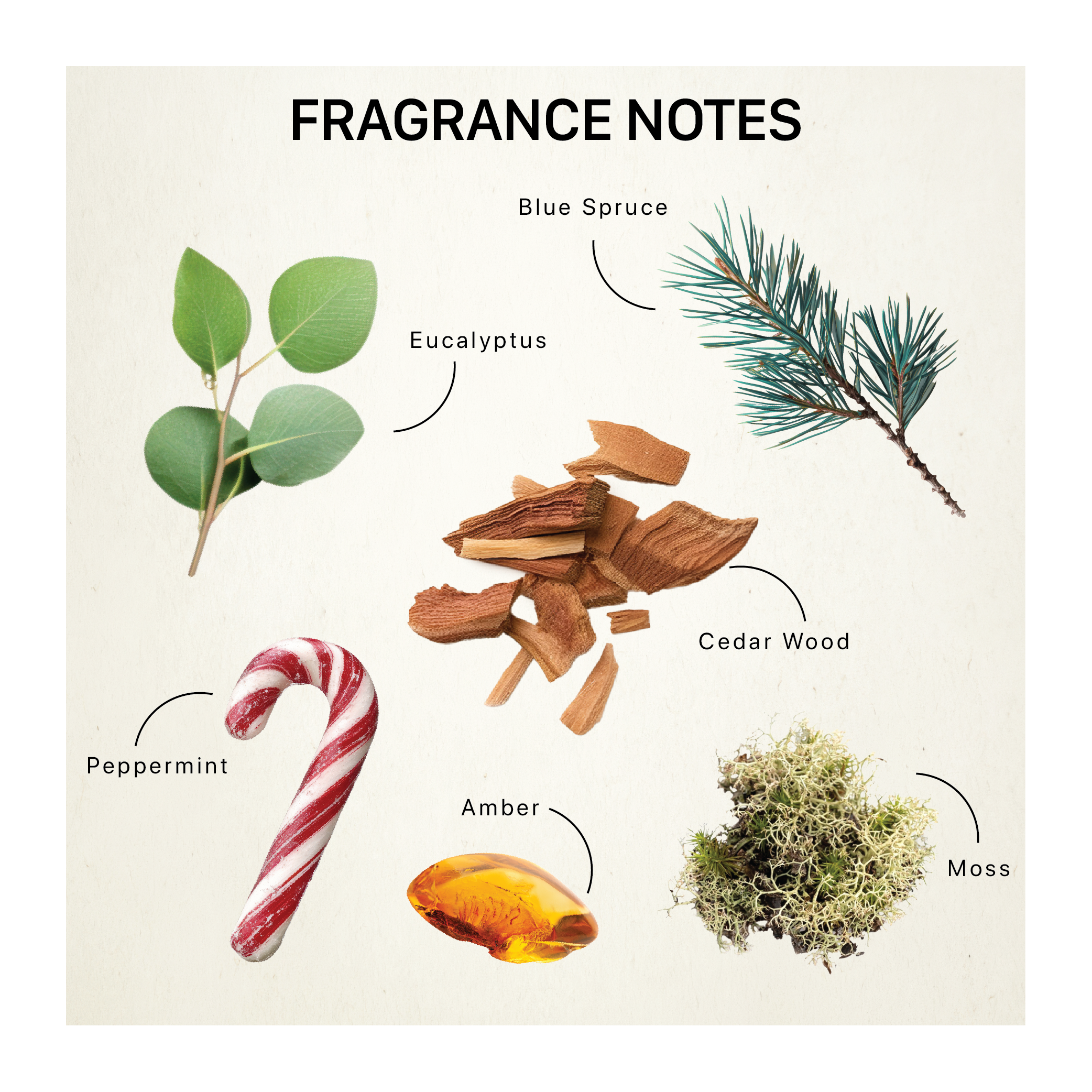La Fleur - SNOWVEIL ASSEMBLY CANDLE
