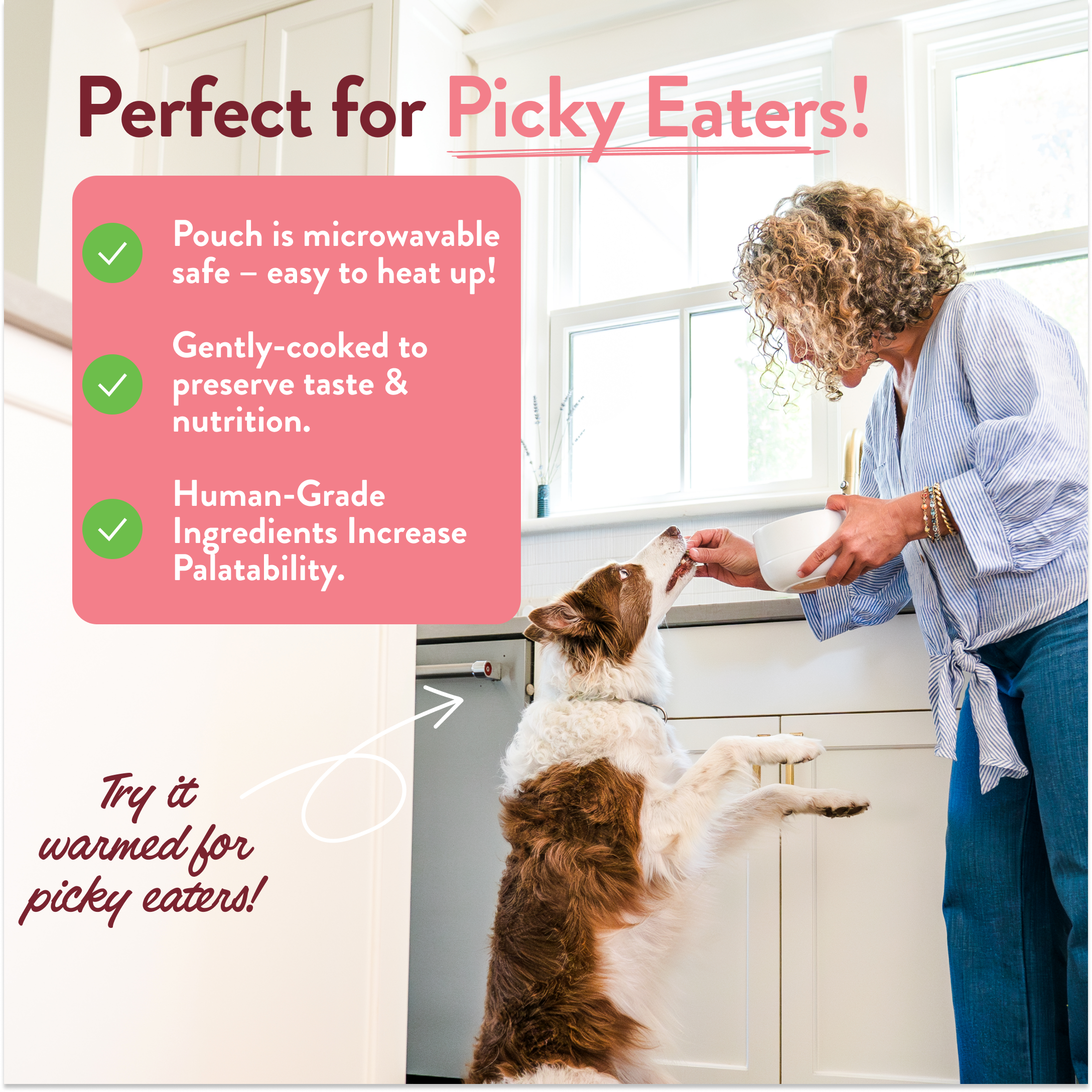 Wally's Salmon N' Rice Homestyle Dog Meal