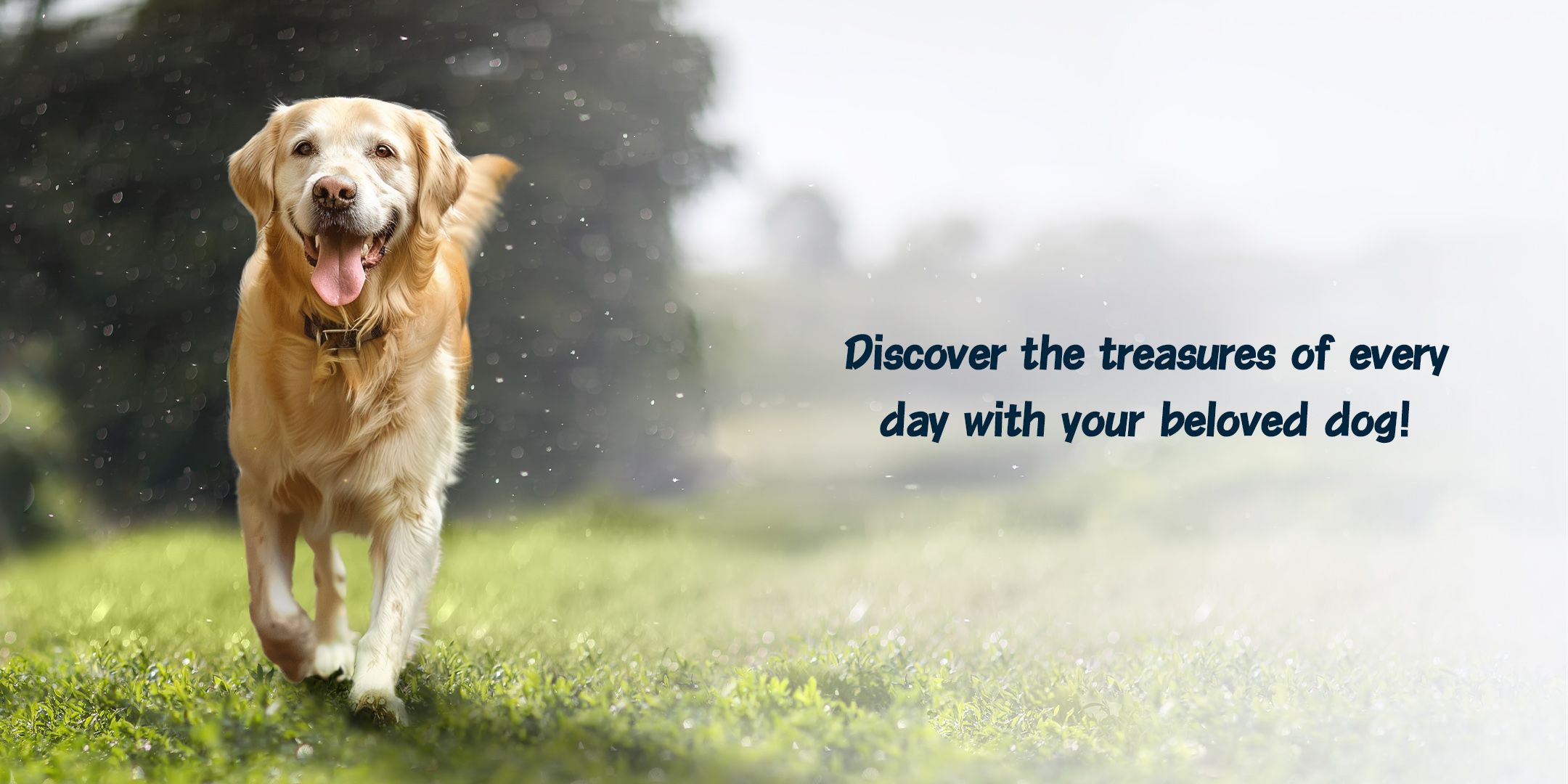Pup Treasure