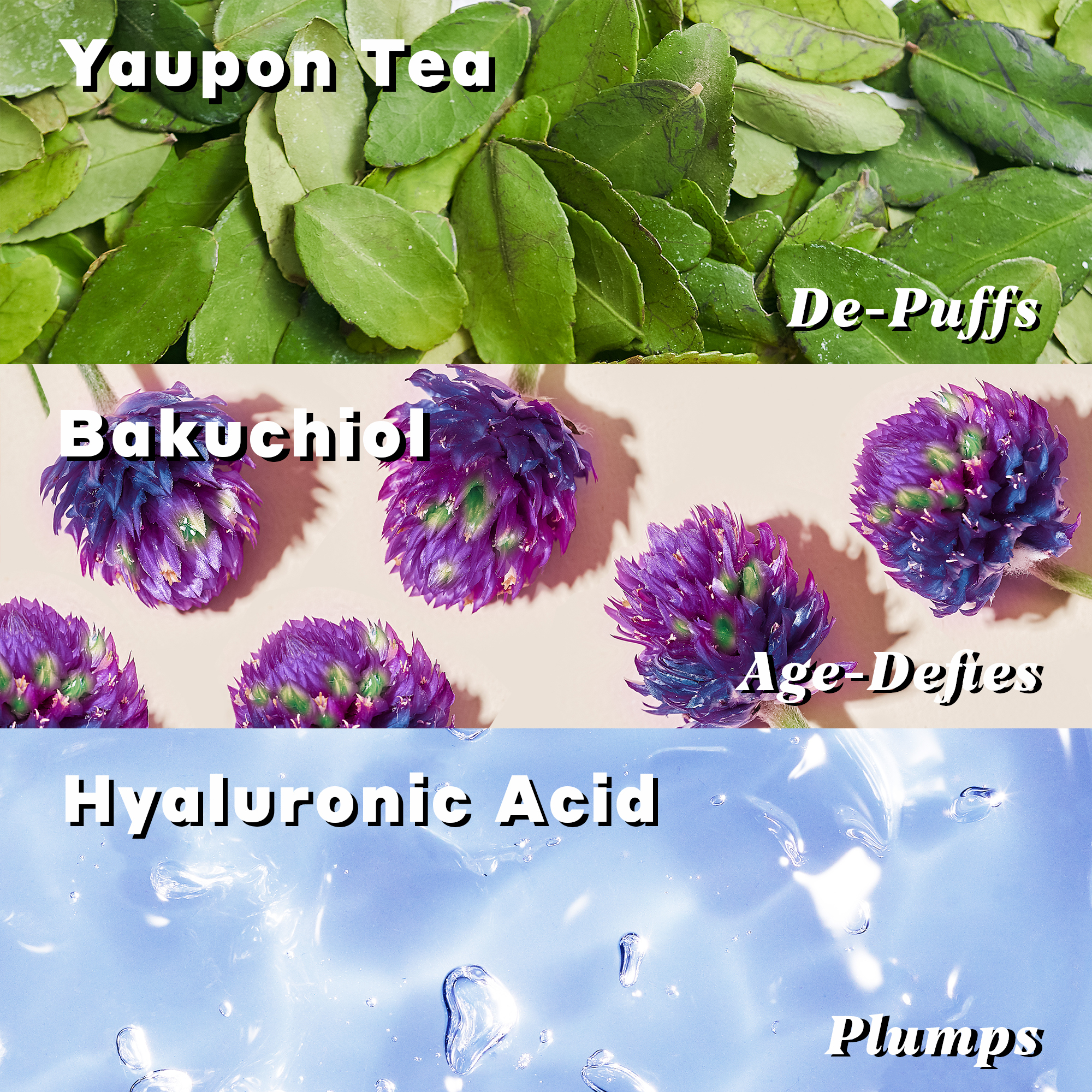Yaupon Tea Glow-Awakening Moisturizer with Bakuchiol + Hyaluronic Acid