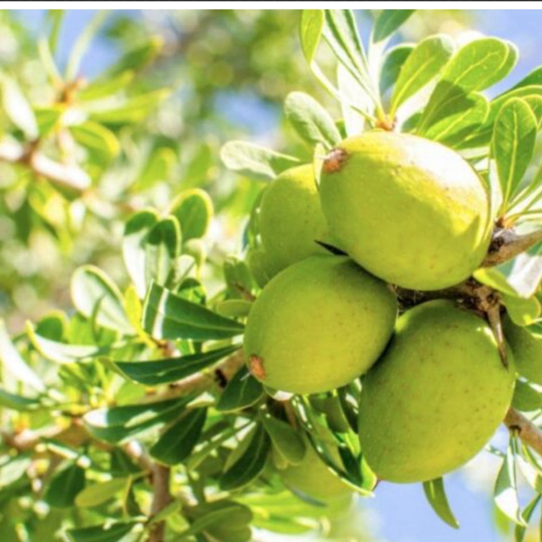 Argan Oil, 100% Organic