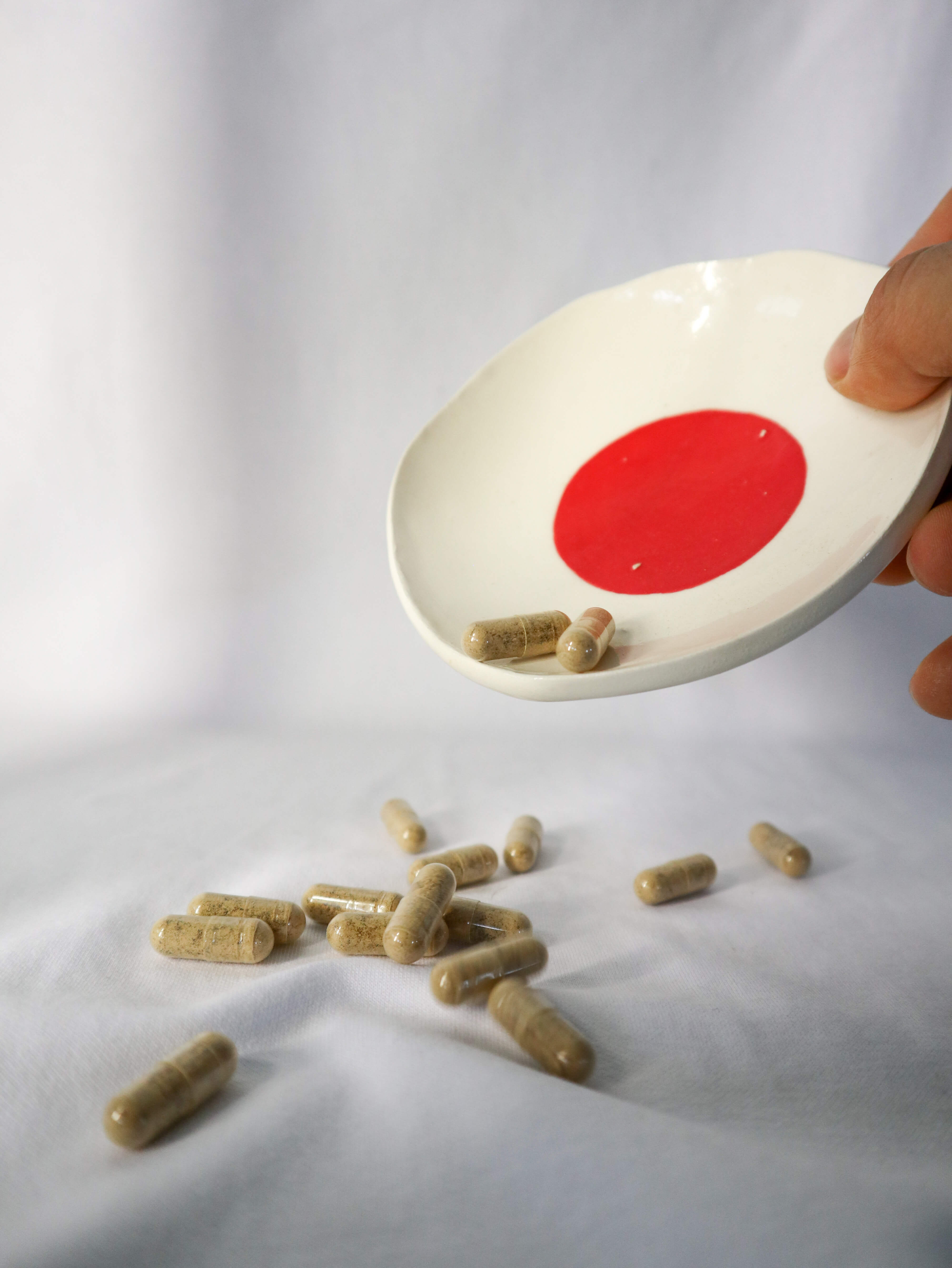 Sub-Critical Fruiting Body Lion's Mane Capsules