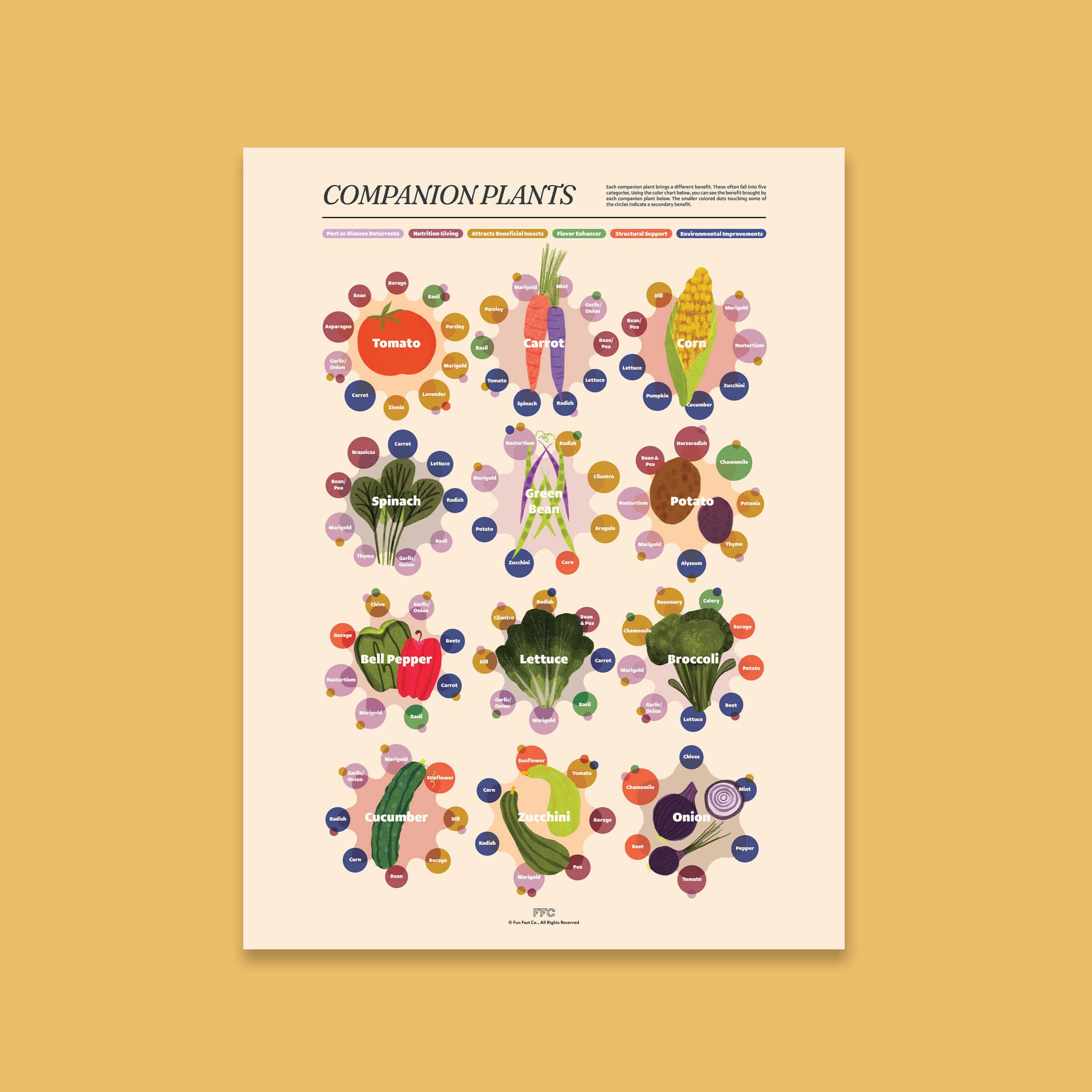 Companion Plants Print