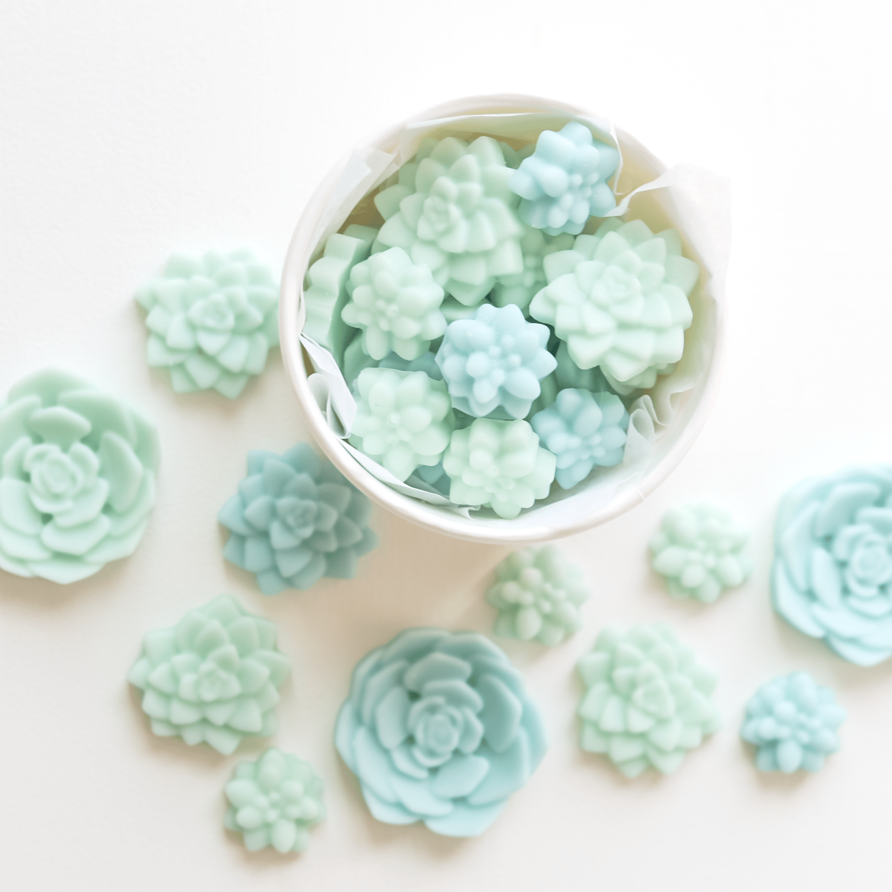 Bloomulent Succulent Wax Melts - Refreshing Spring Aroma | Natural Coco Wax