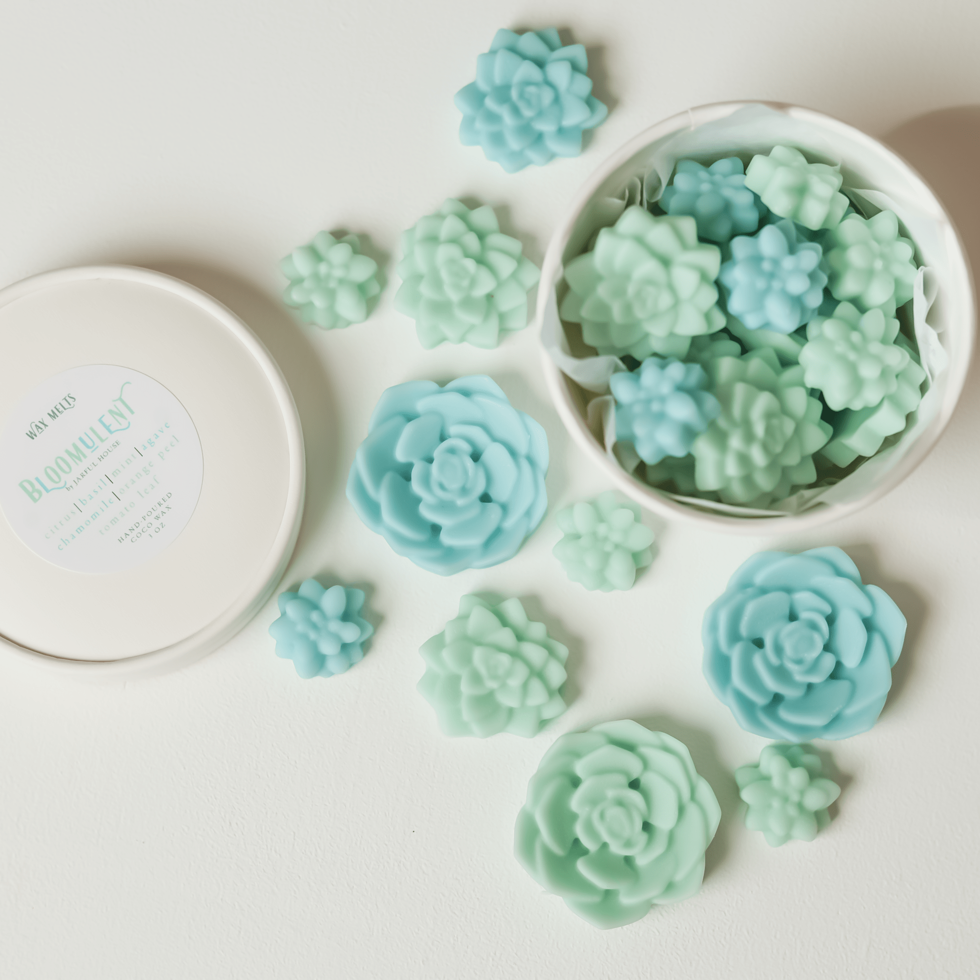 Bloomulent Succulent Wax Melts - Refreshing Spring Aroma | Natural Coco Wax