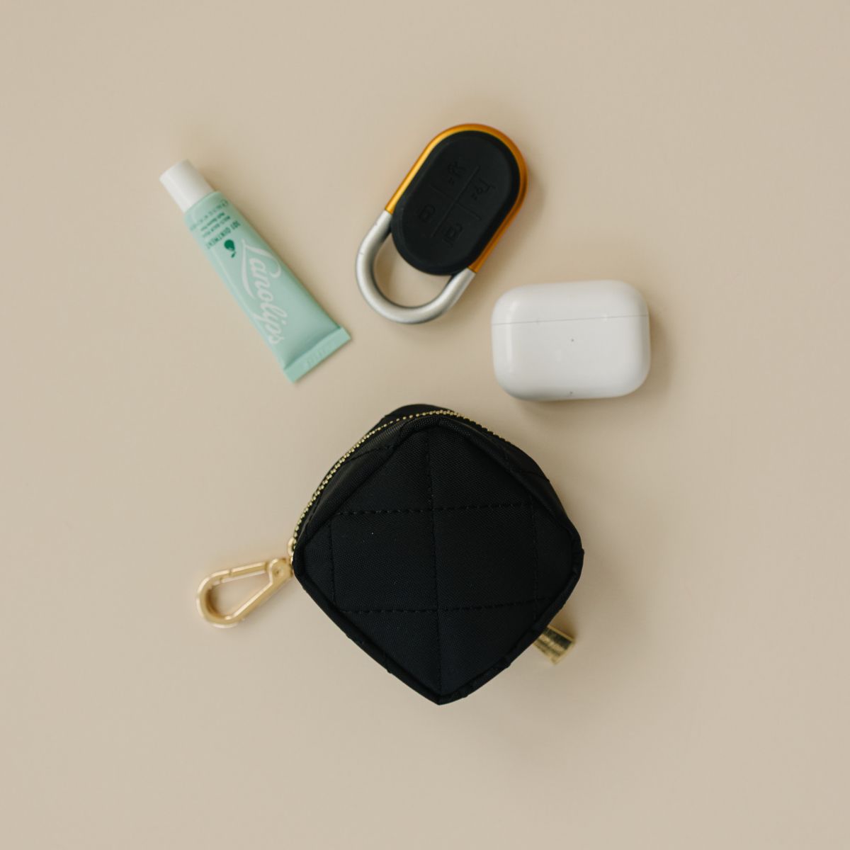 Take Anywhere Clip-On Pouch | Lion & Light