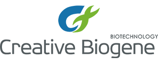 Creative Biogene