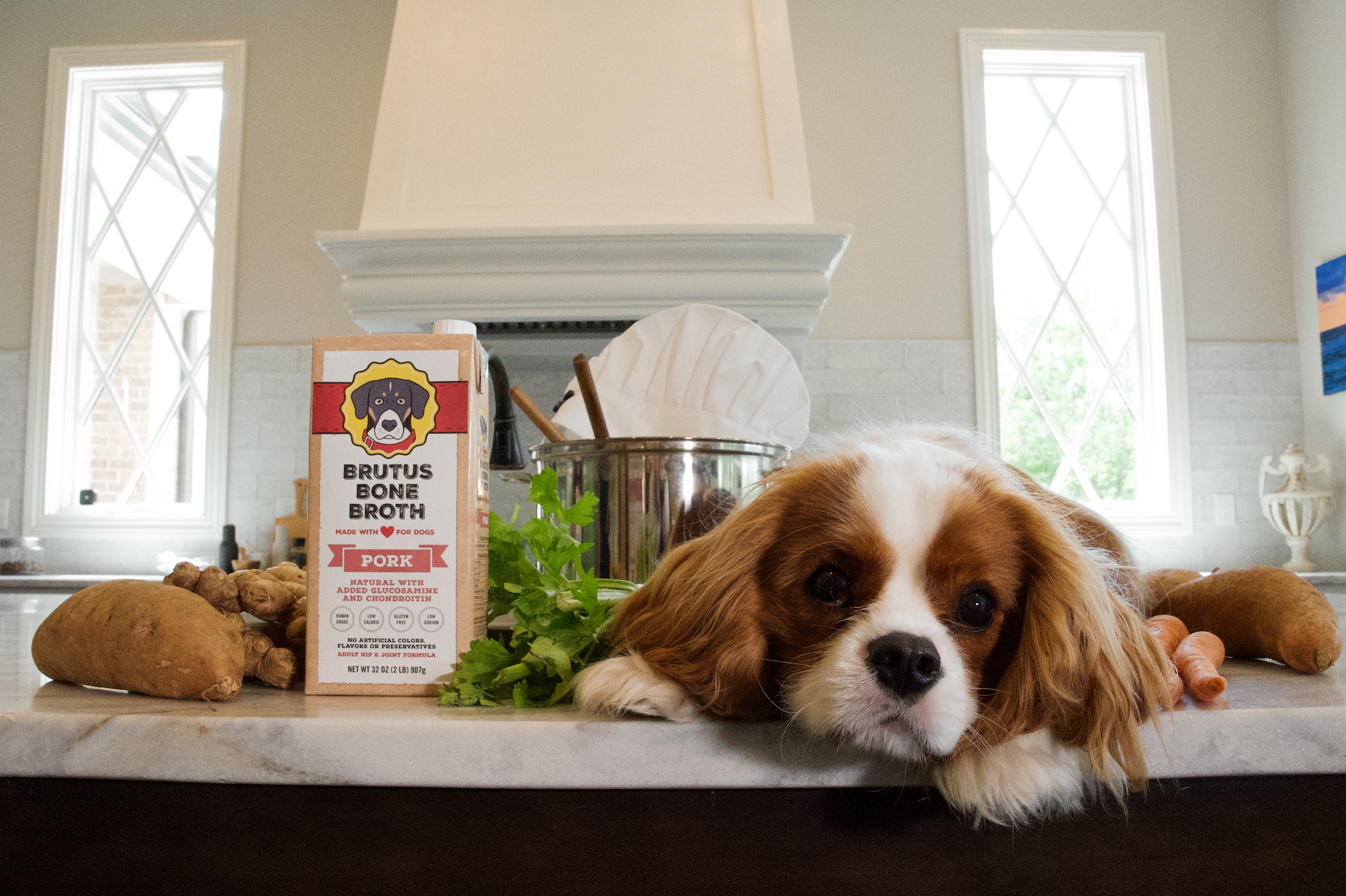Brutus Pork Bone Broth
