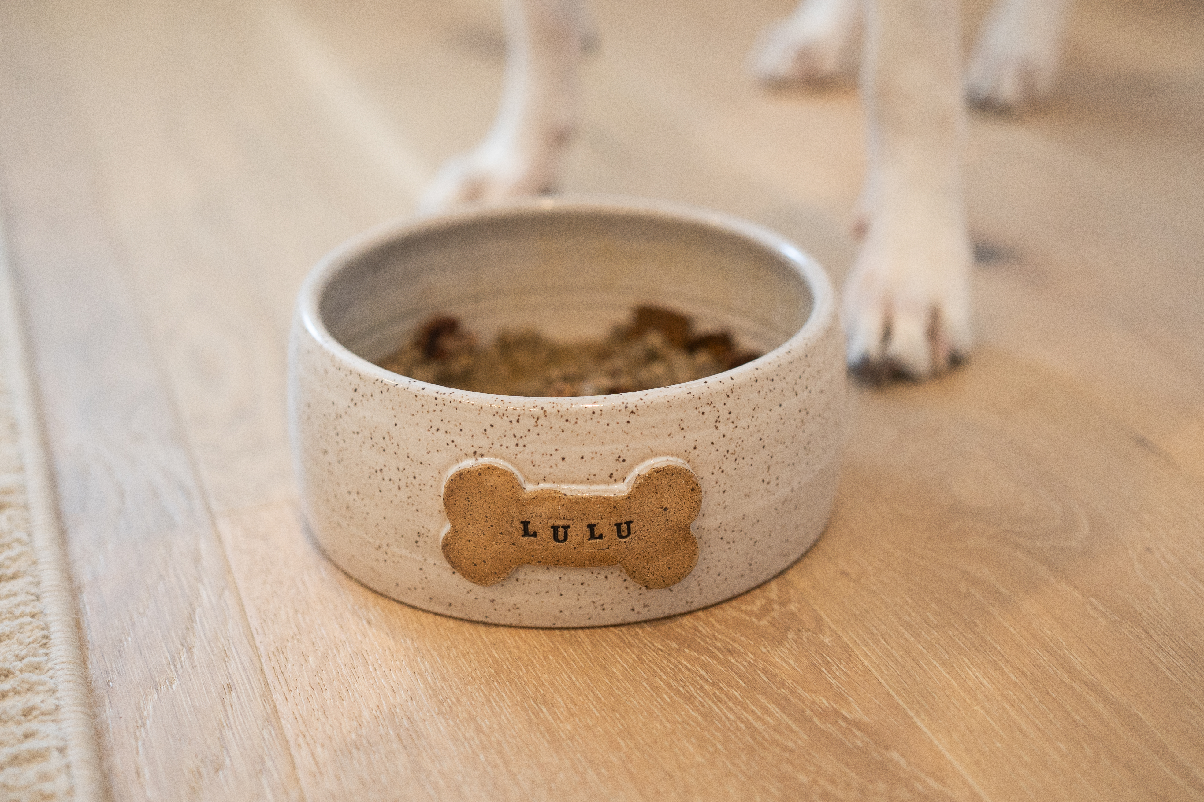 Custom Order Dog Dishes