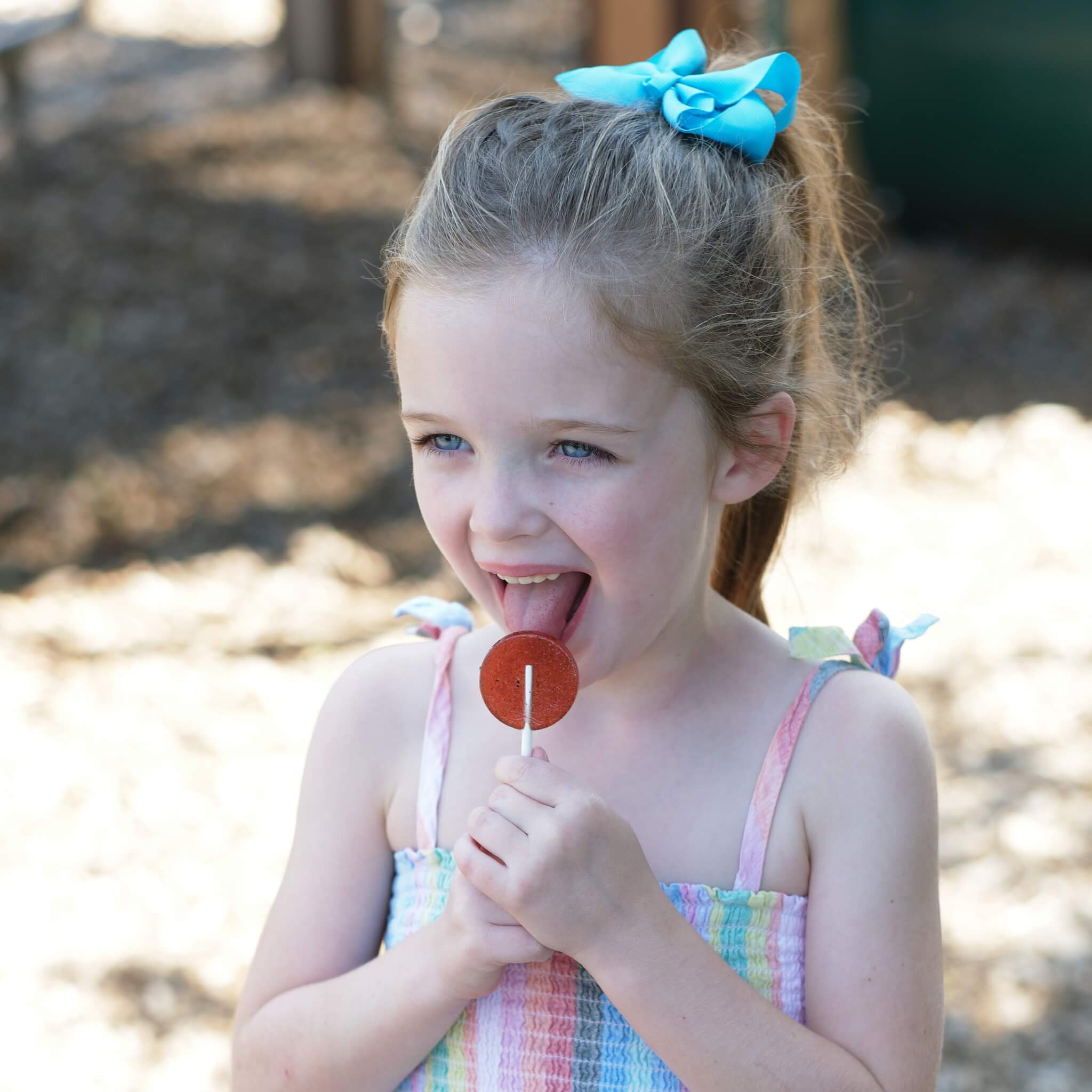 Immunity Support Honey Lollipops (Bundle)