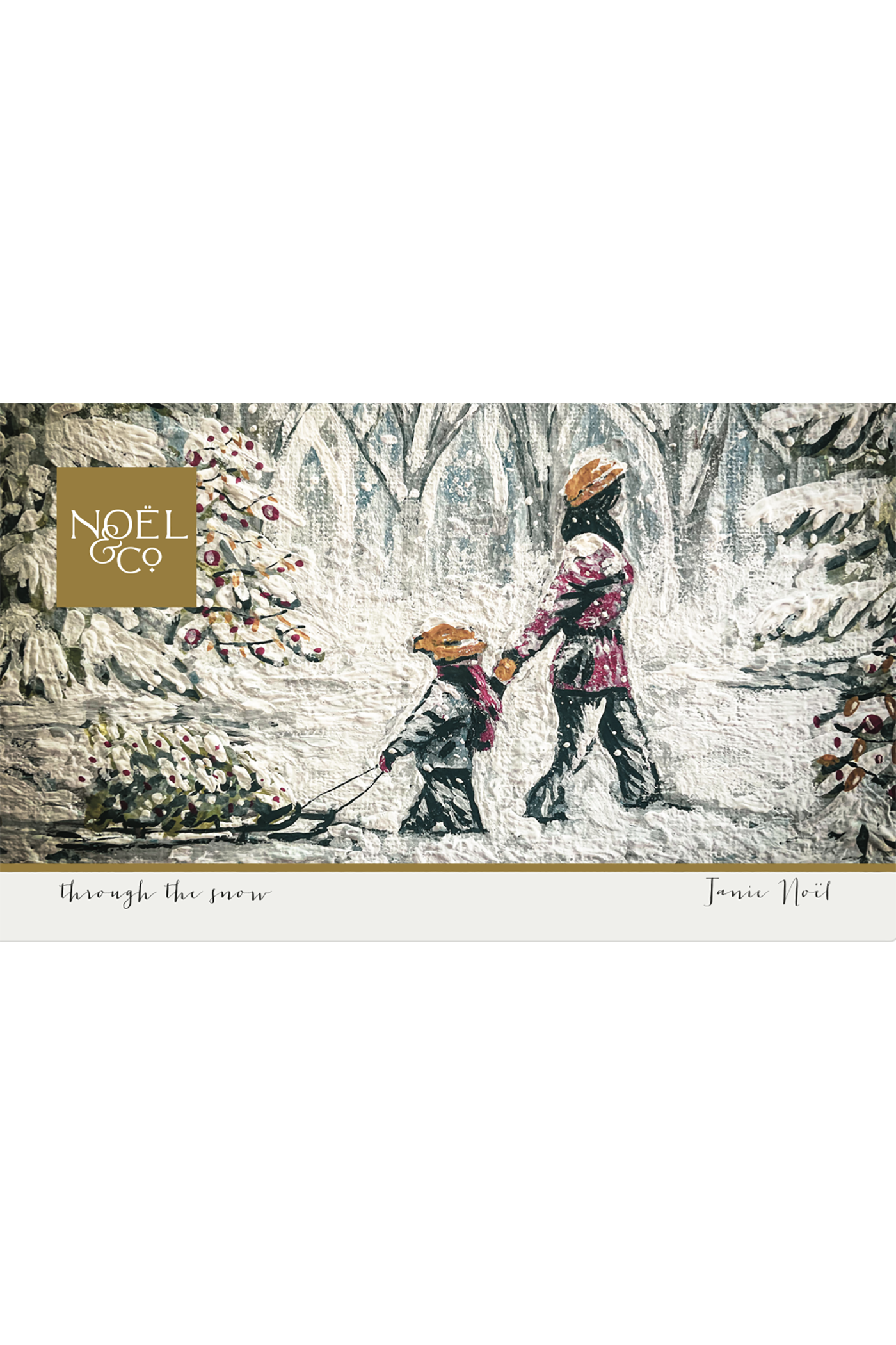 Through The Snow
