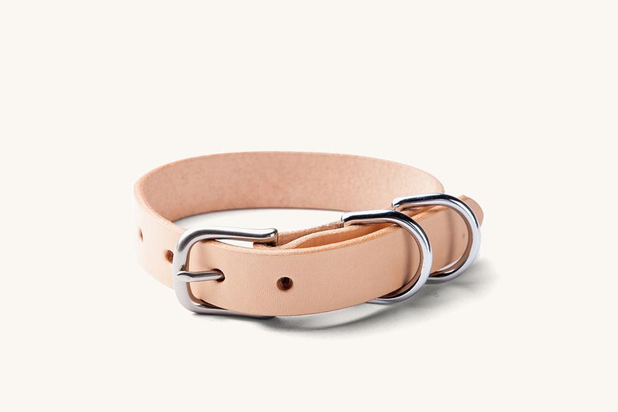 Canine Collar