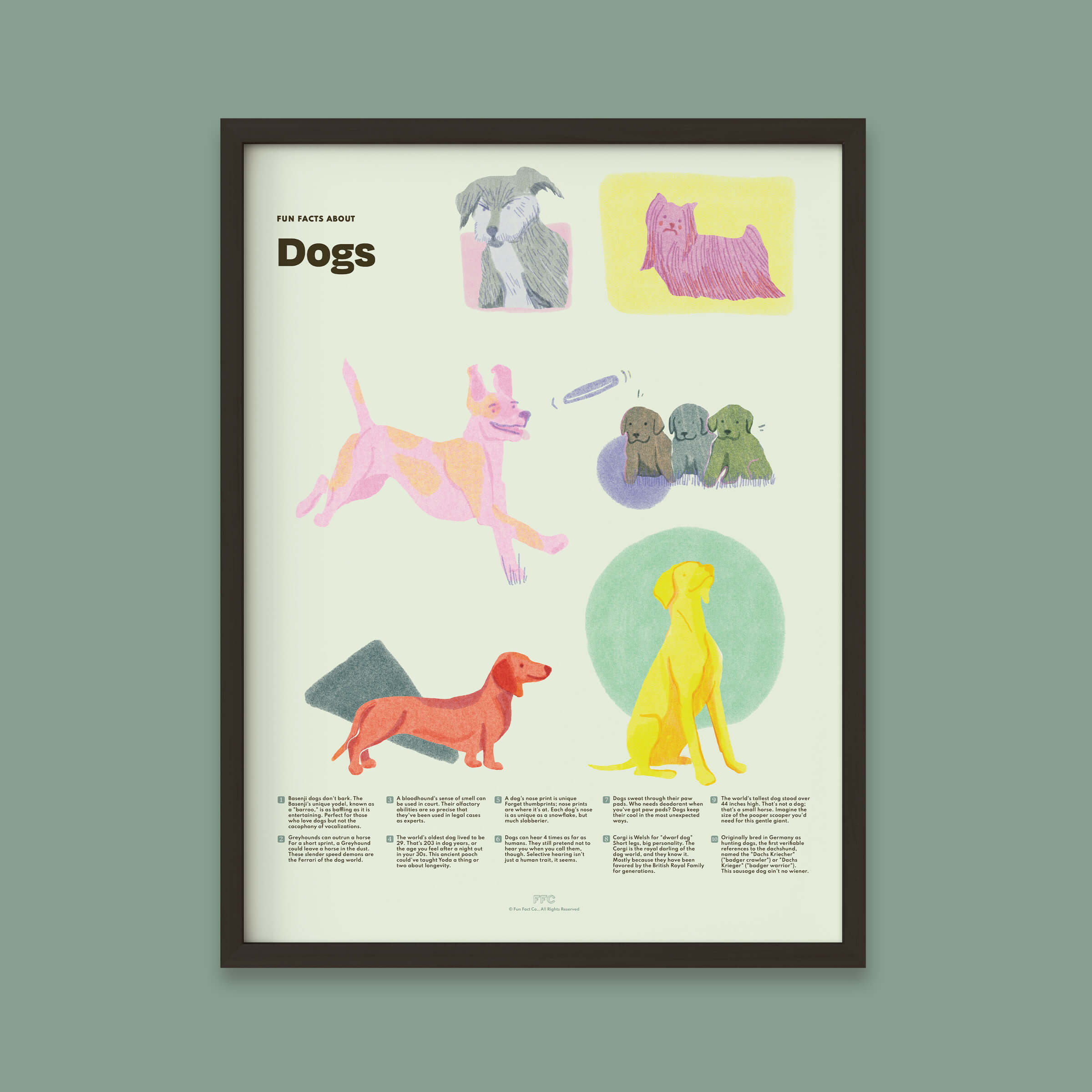 Dog Fun Facts Print