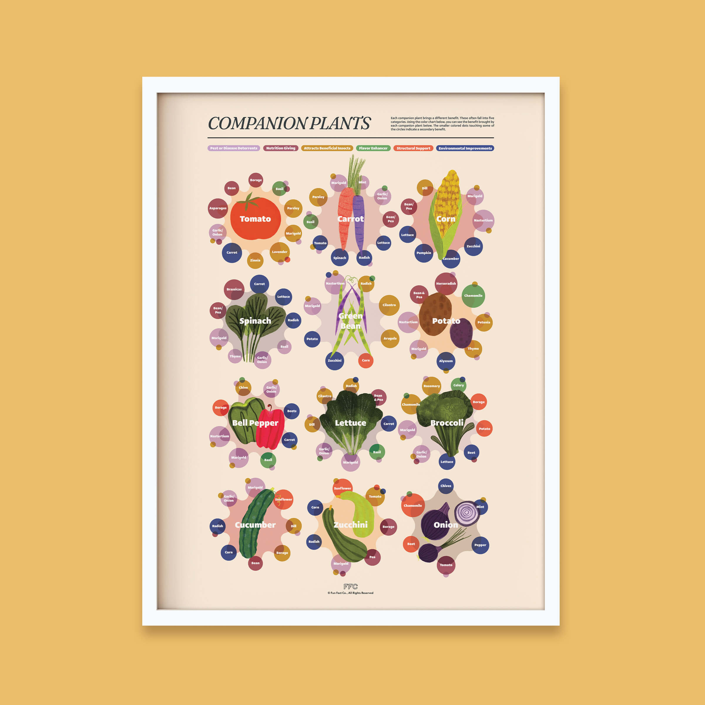 Companion Plants Print