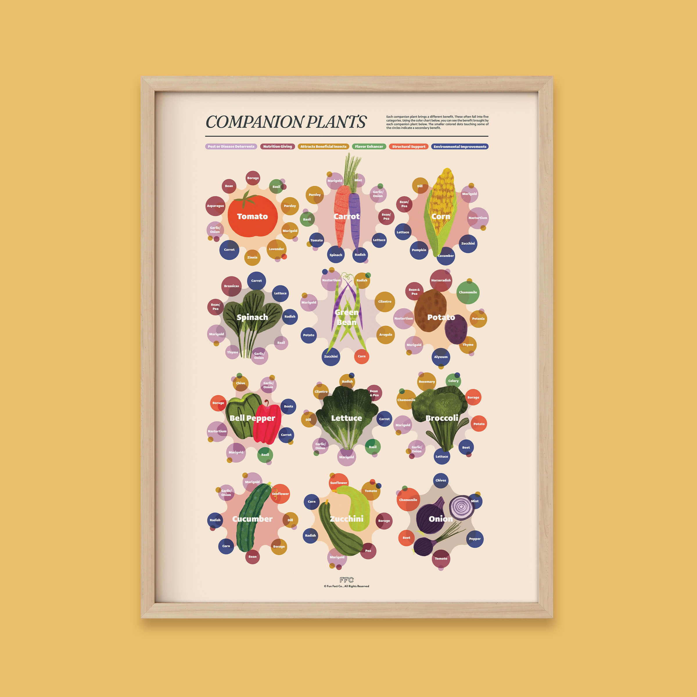 Companion Plants Print