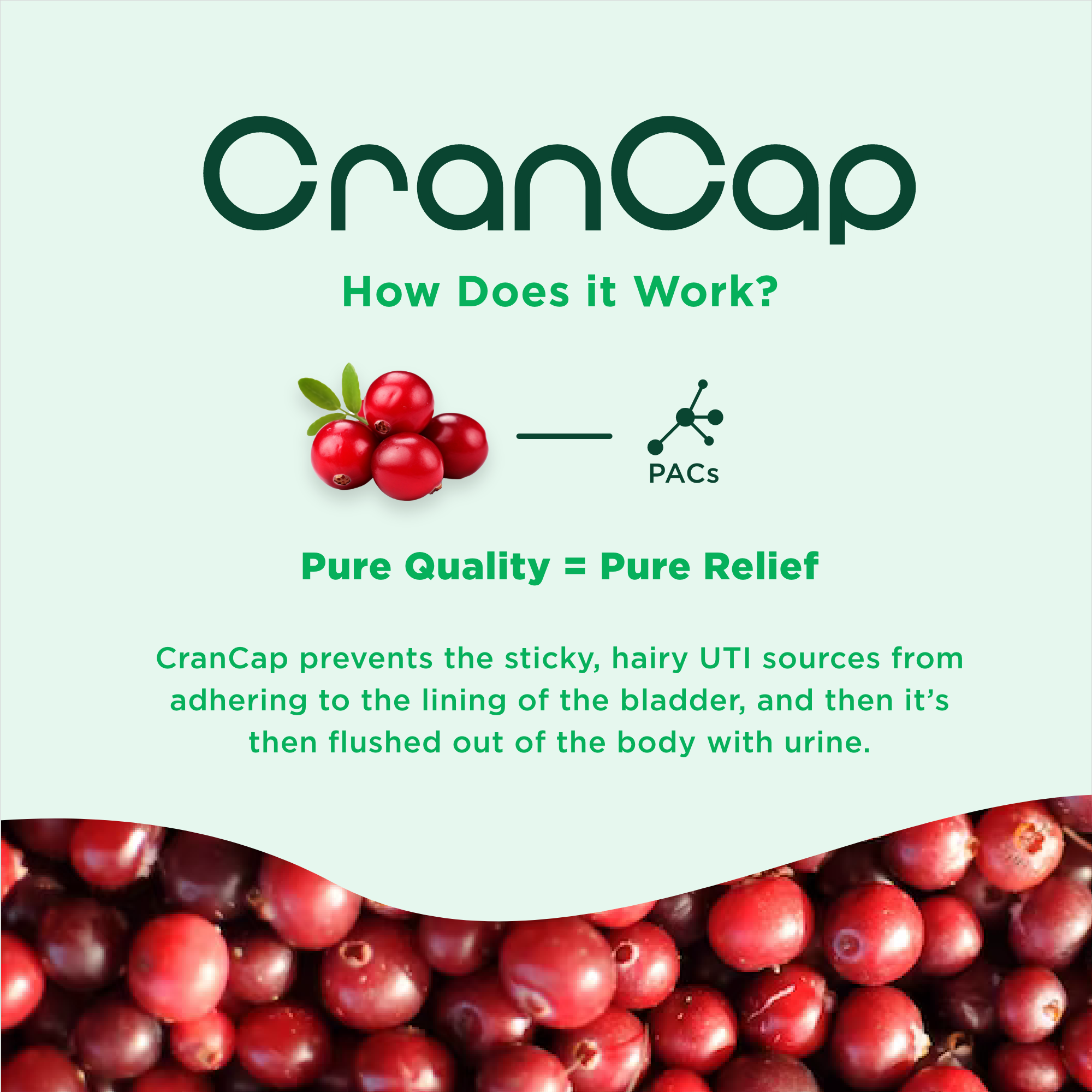 CranCap PAC Urinary Tract Support