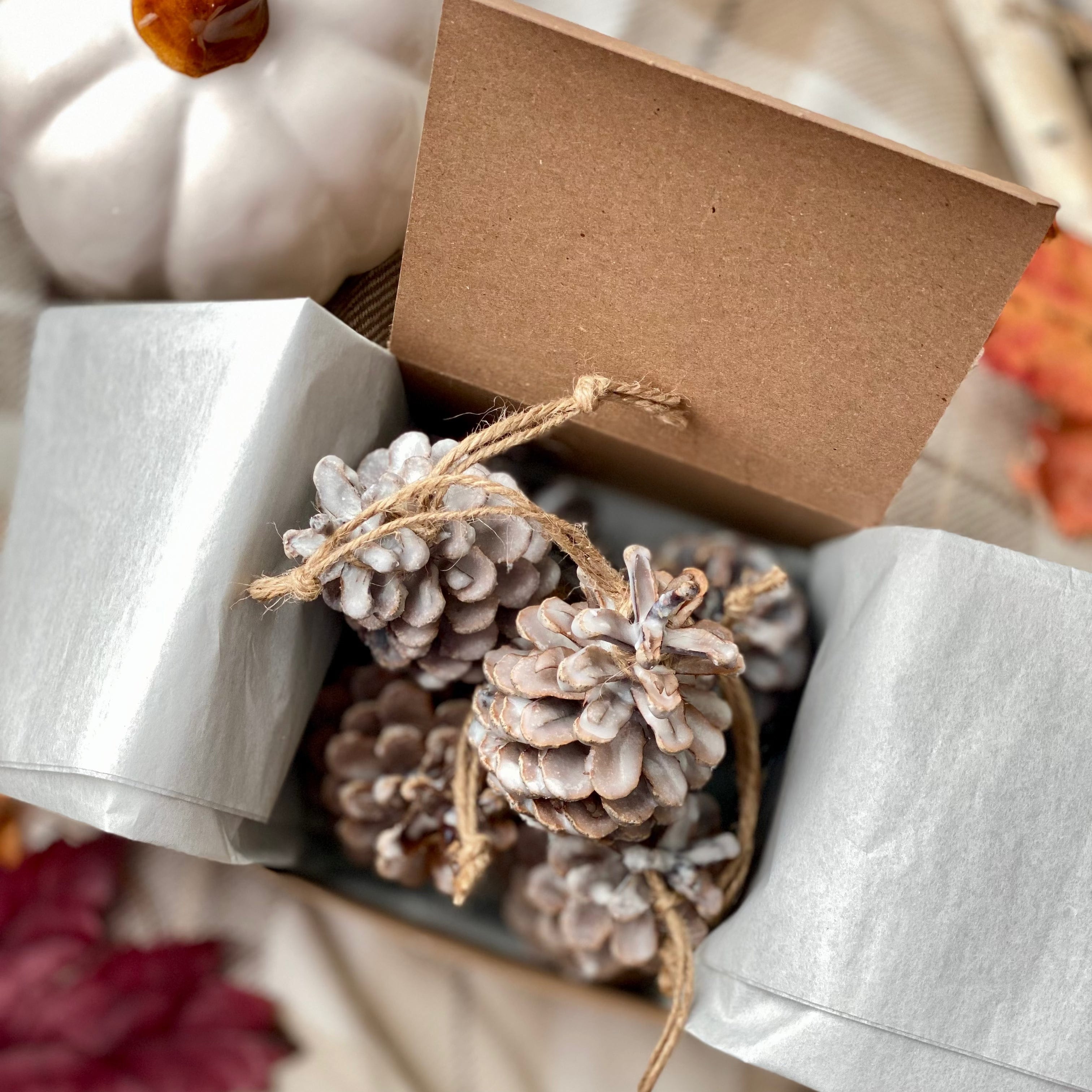 Fire Starters Fireside | Set of 6 Pine Cones | Cypress + Cedar + Fir + Amber