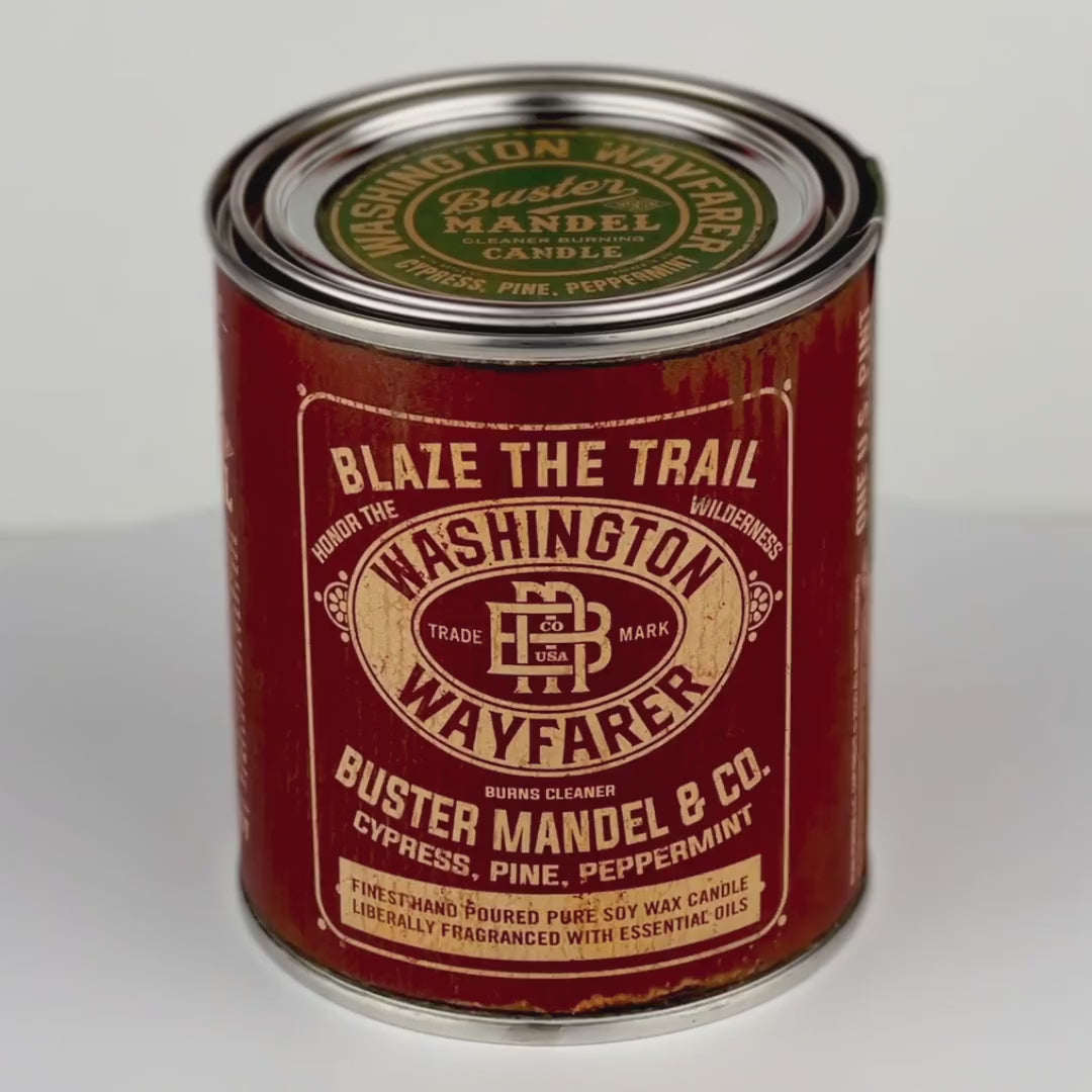 Buster Mandel - Washington Wayfarer