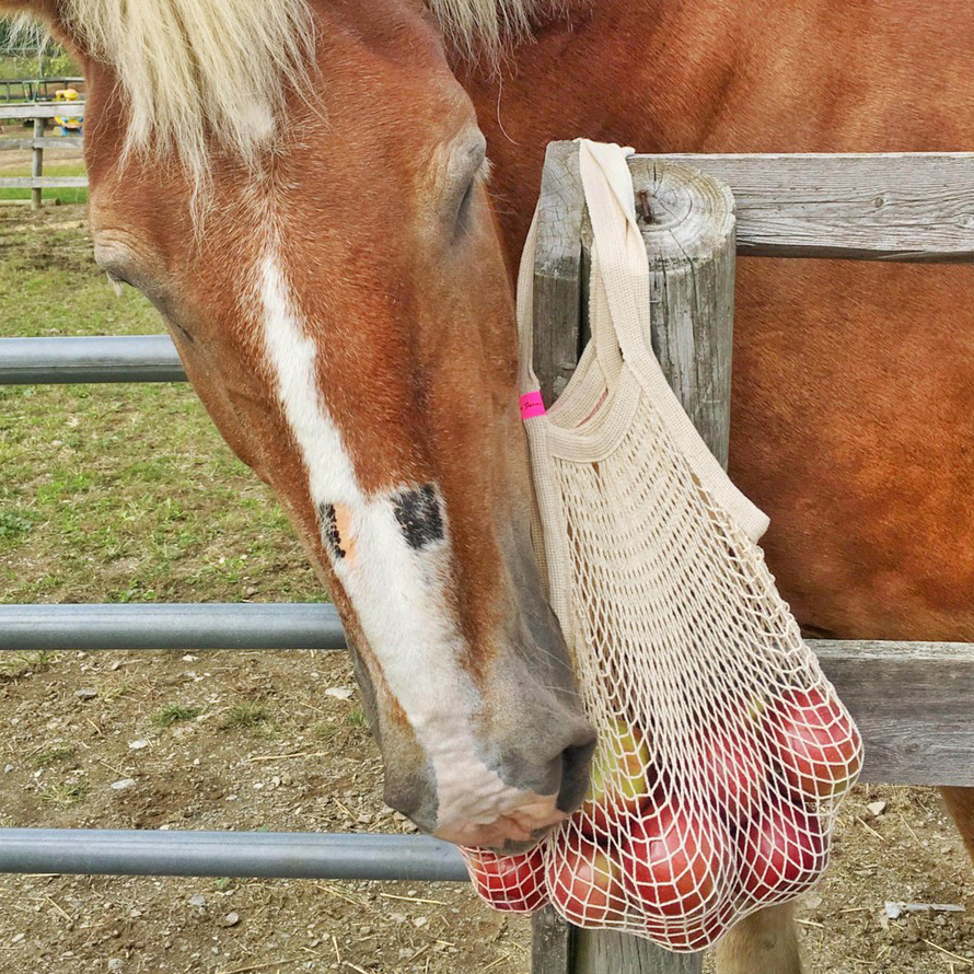The French Market Bag