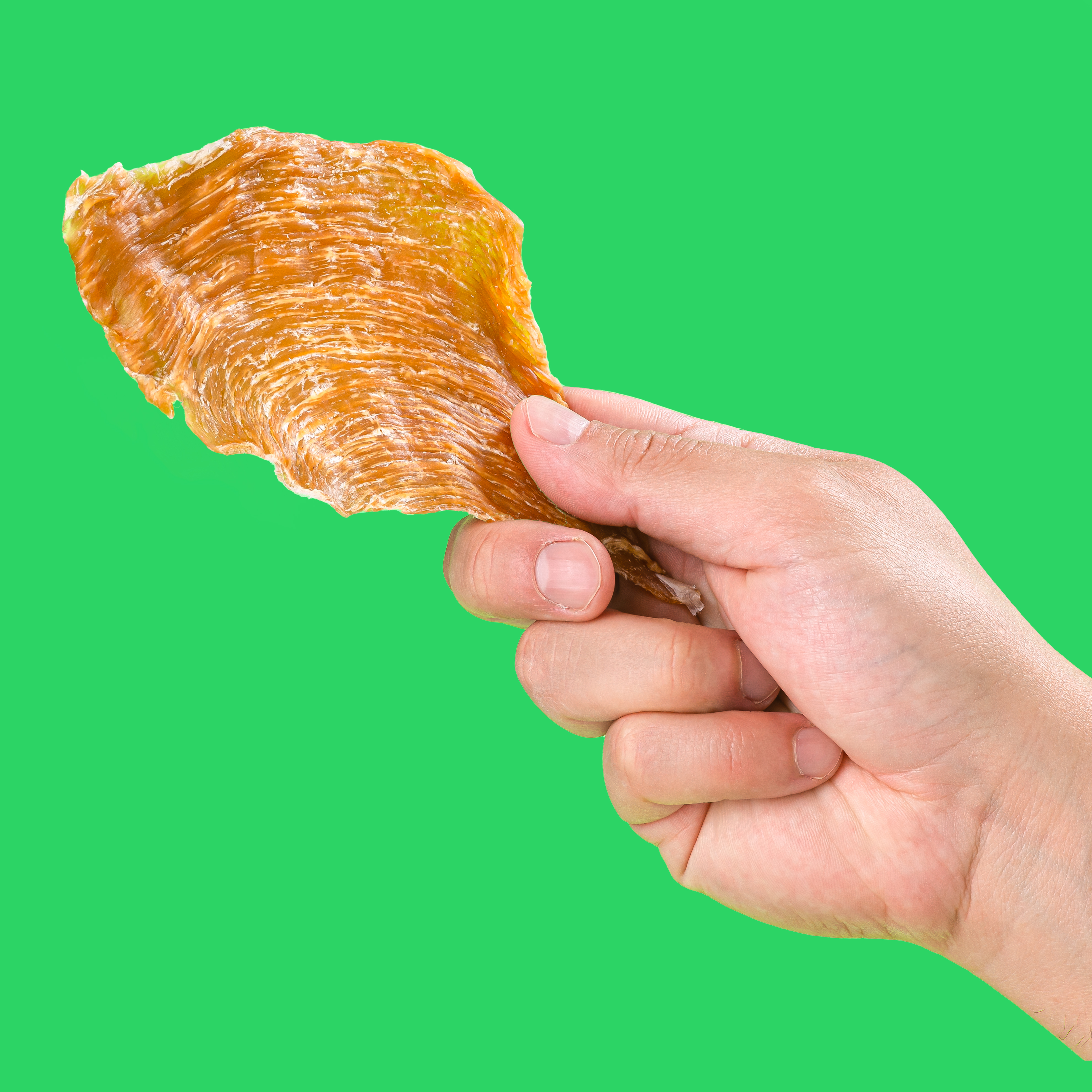 Chicken Breast Jerky