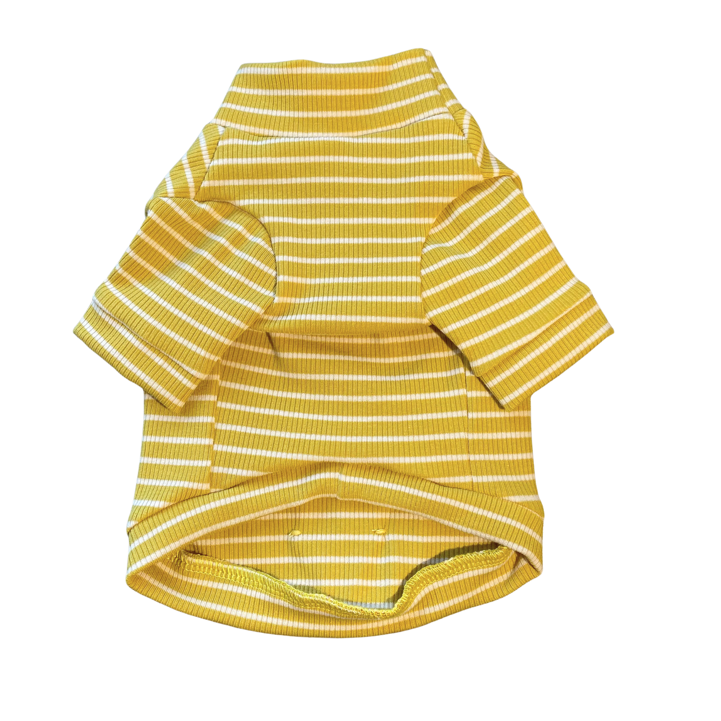 Mustard Cotton Turtleneck
