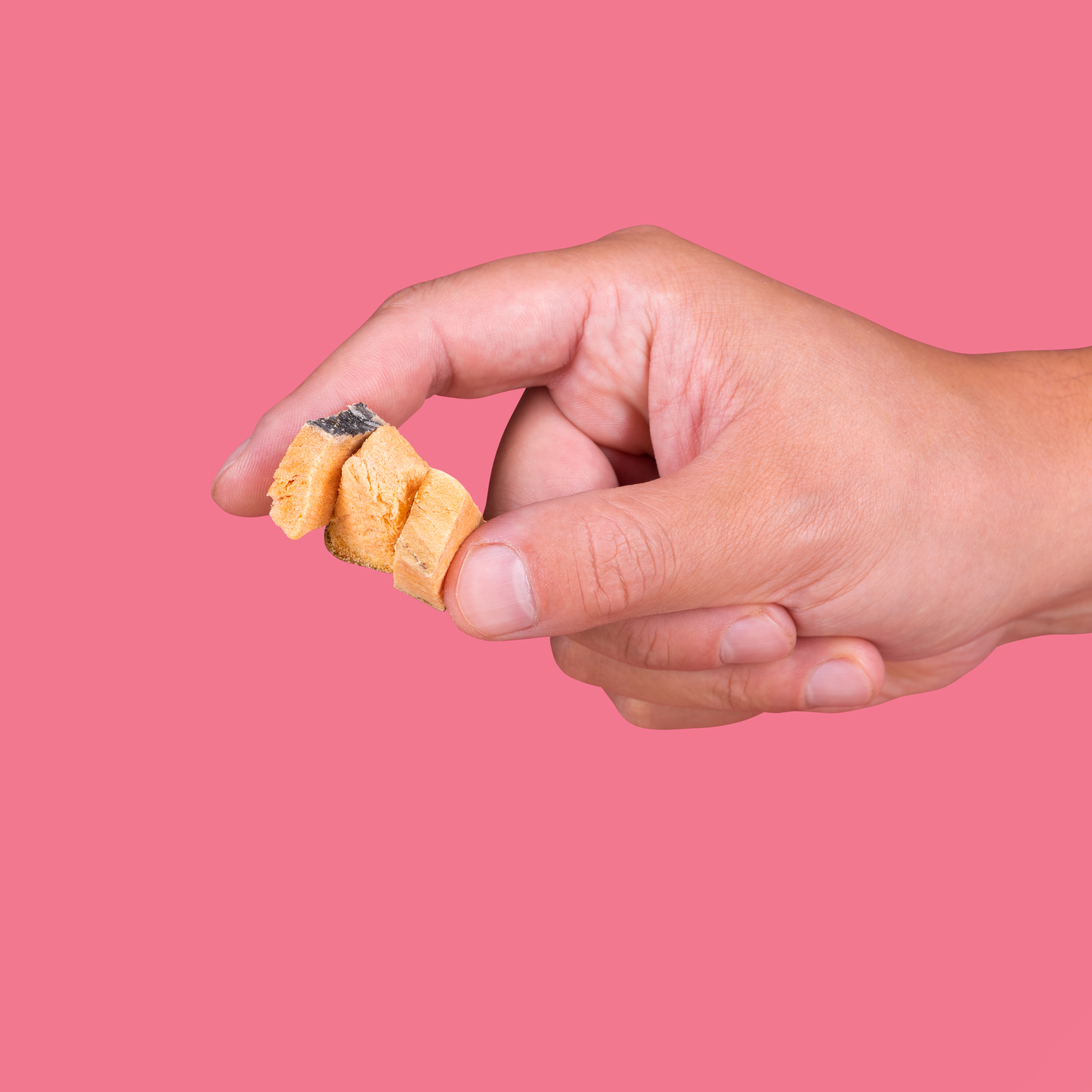 Wild Salmon Bites
