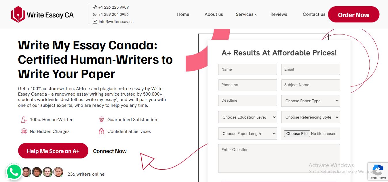 Write My Essay Service