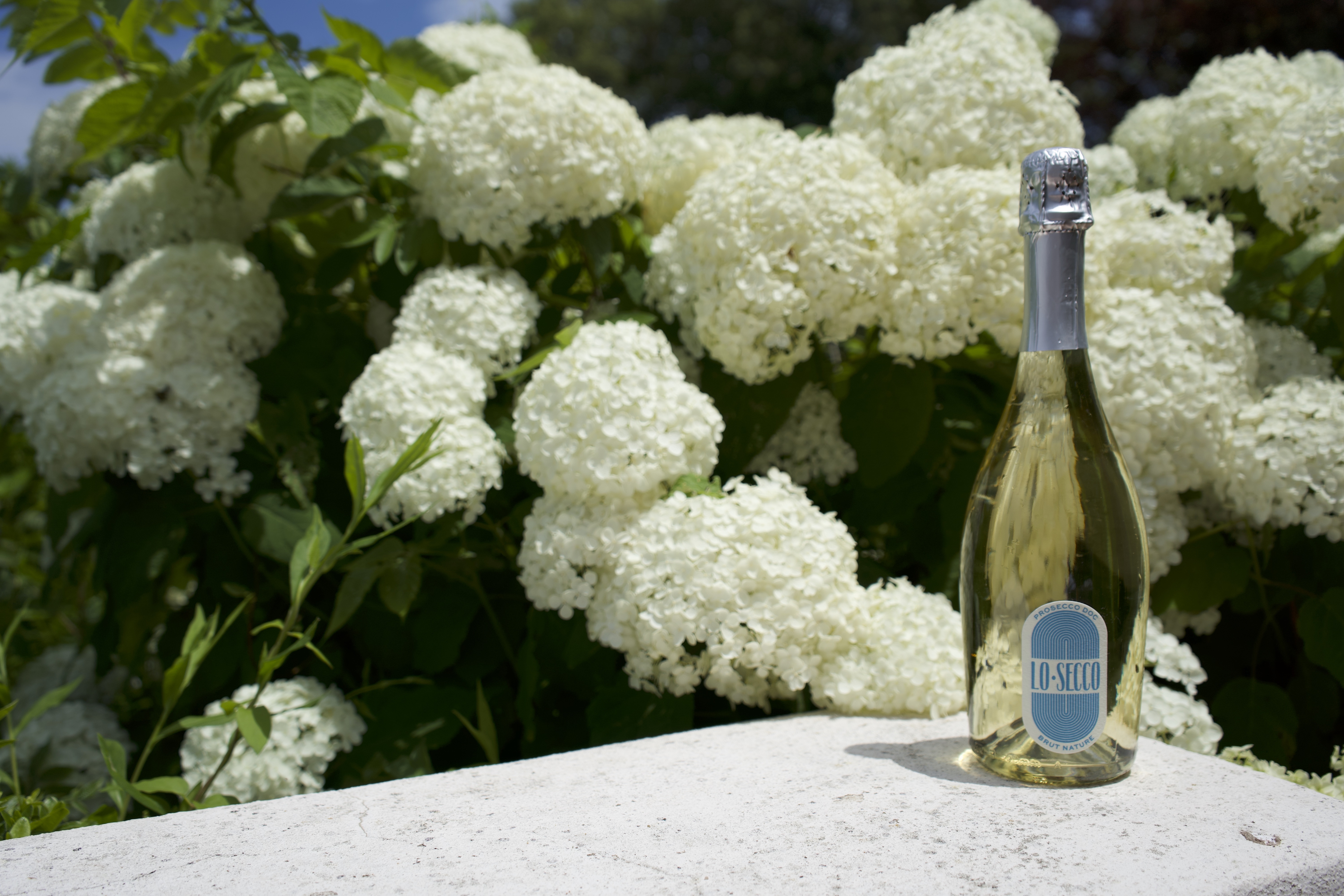 LO SECCO PROSECCO DOC BRUT NATURE