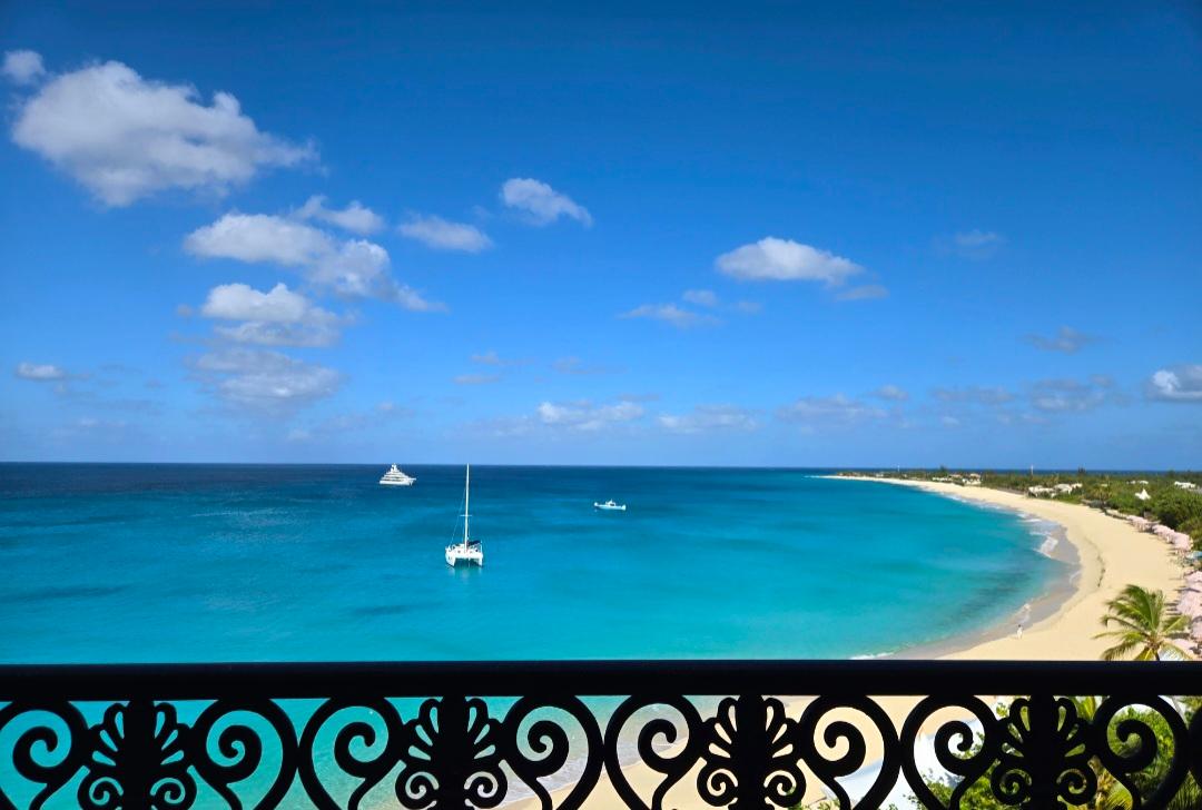 Palmilla A.